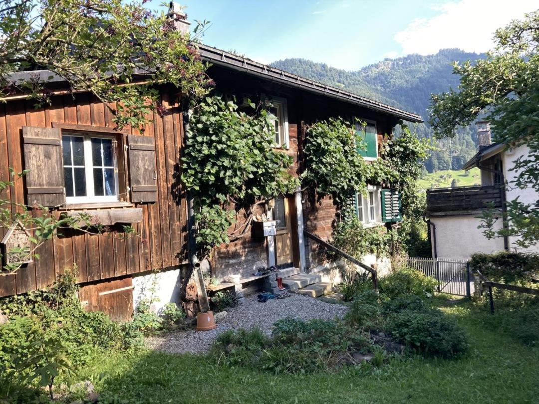 Revier Natur pur