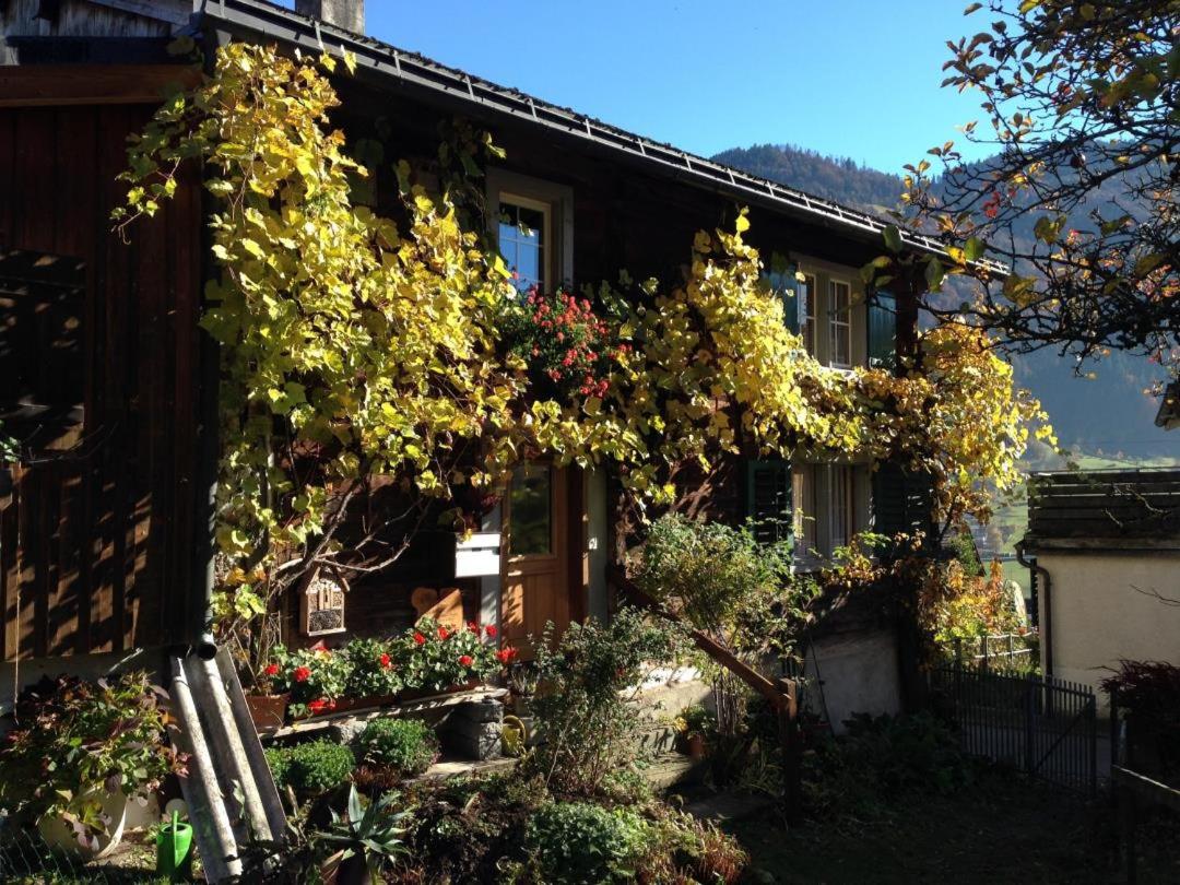 Revier Natur pur