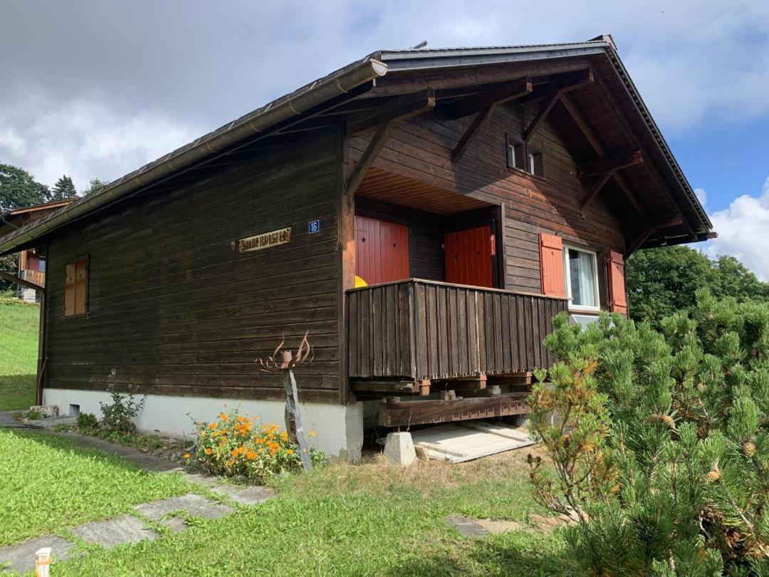 Revier Silberdistel im Schwettiberg