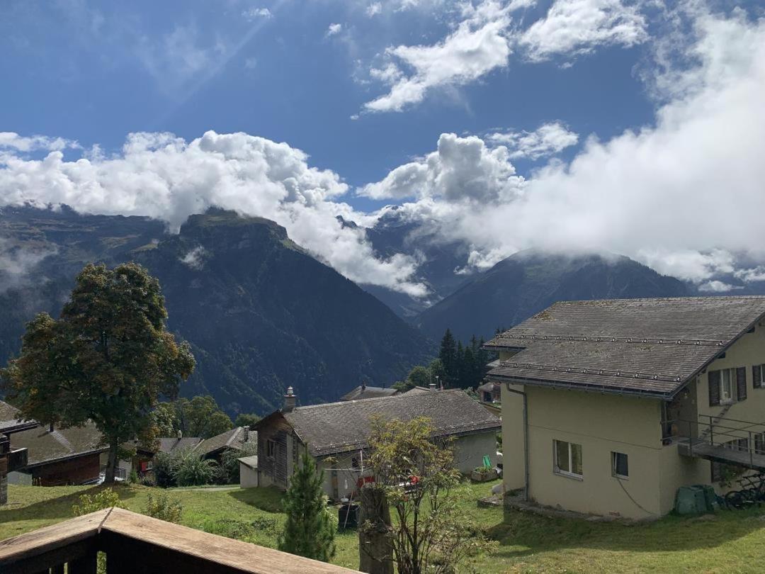 Revier Silberdistel im Schwettiberg