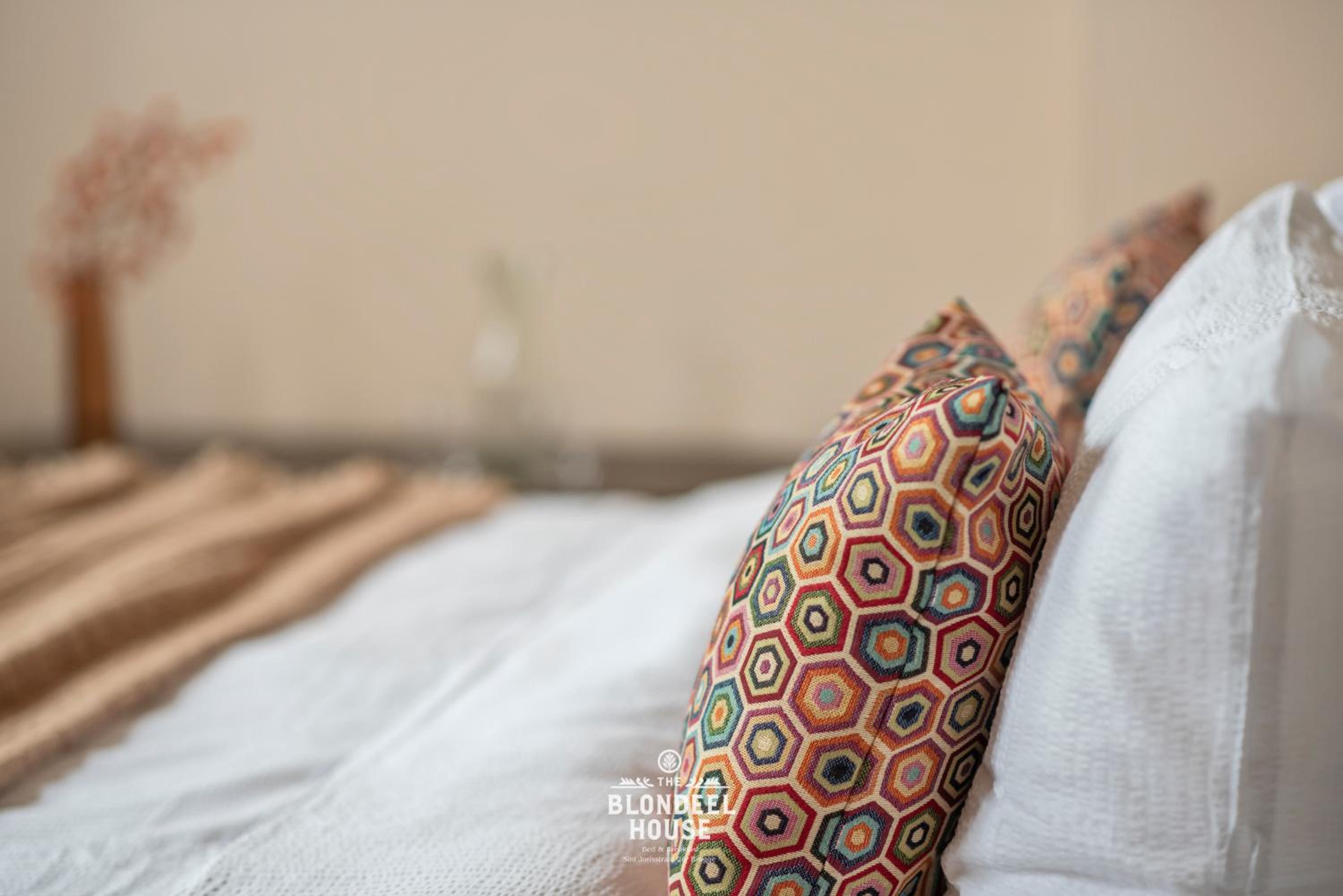 Bed & Breakfast The Blondeel House Brugge center