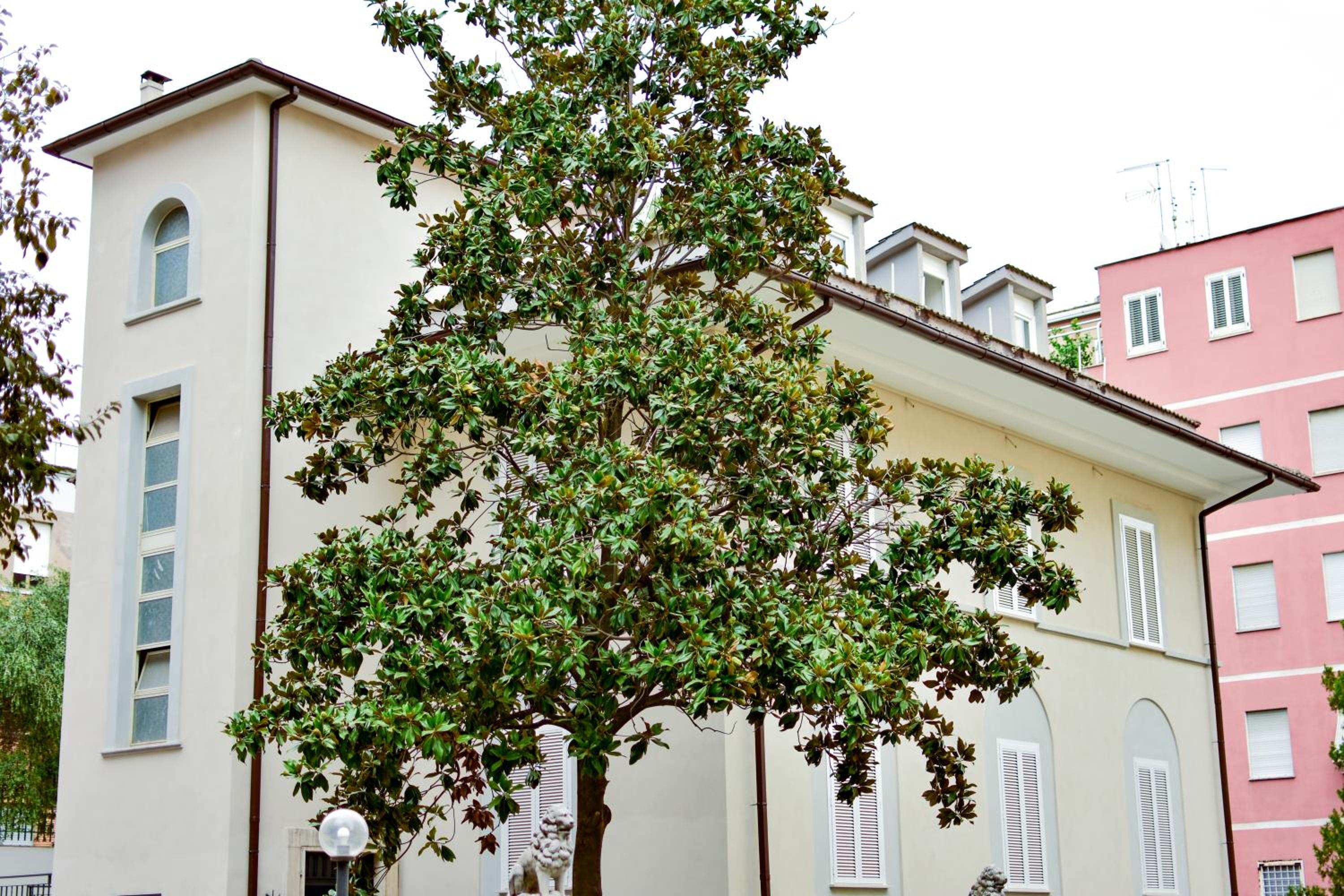 building