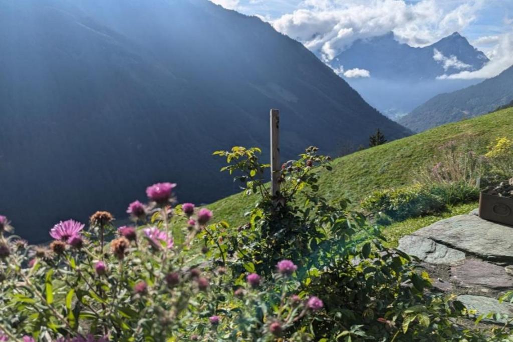 Revier hike to Herrenegg