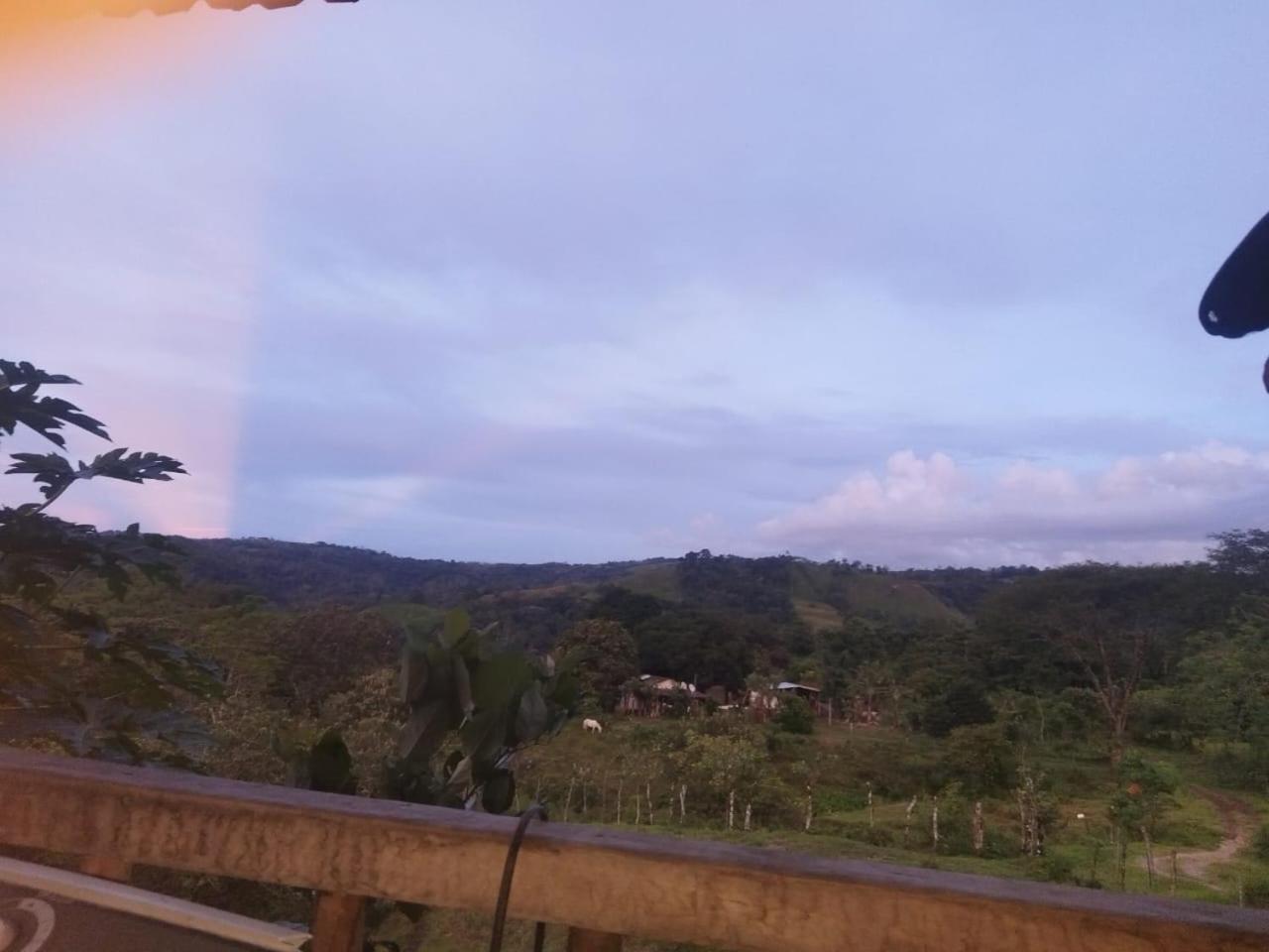 Cabañas venado