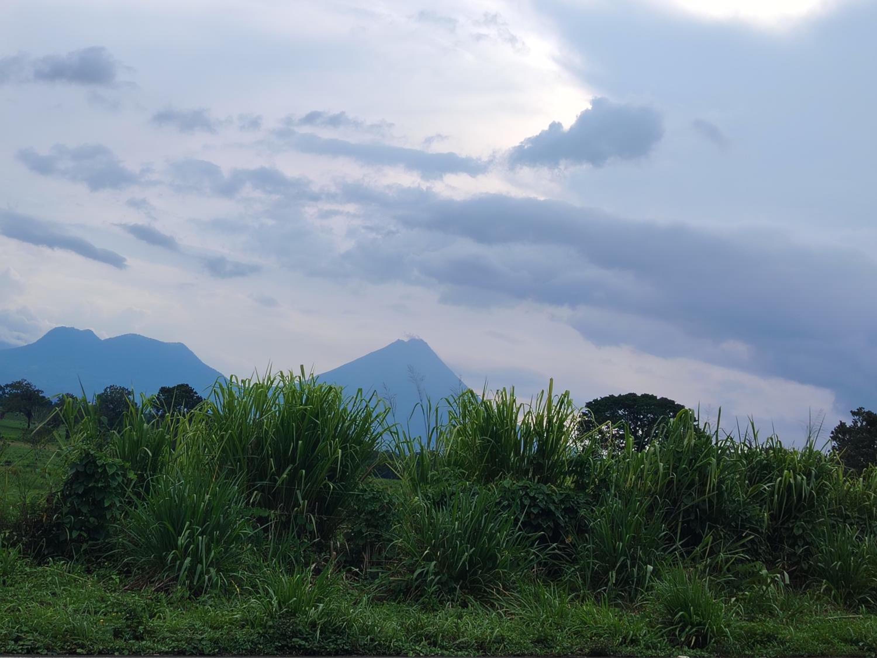 Cabañas venado