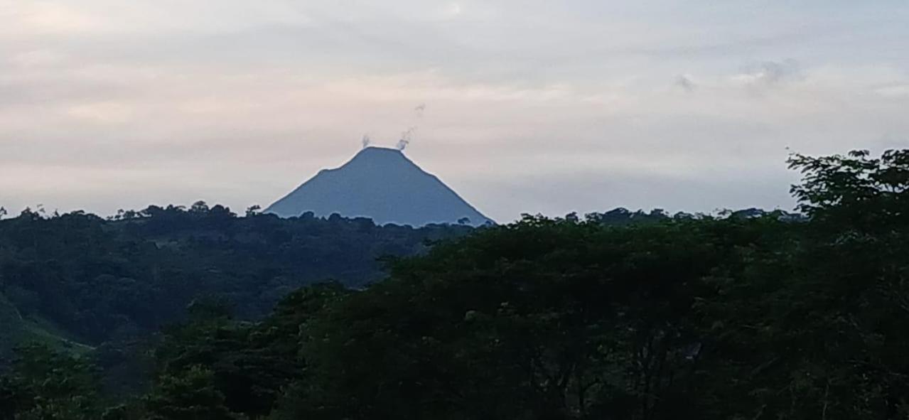 Cabañas venado