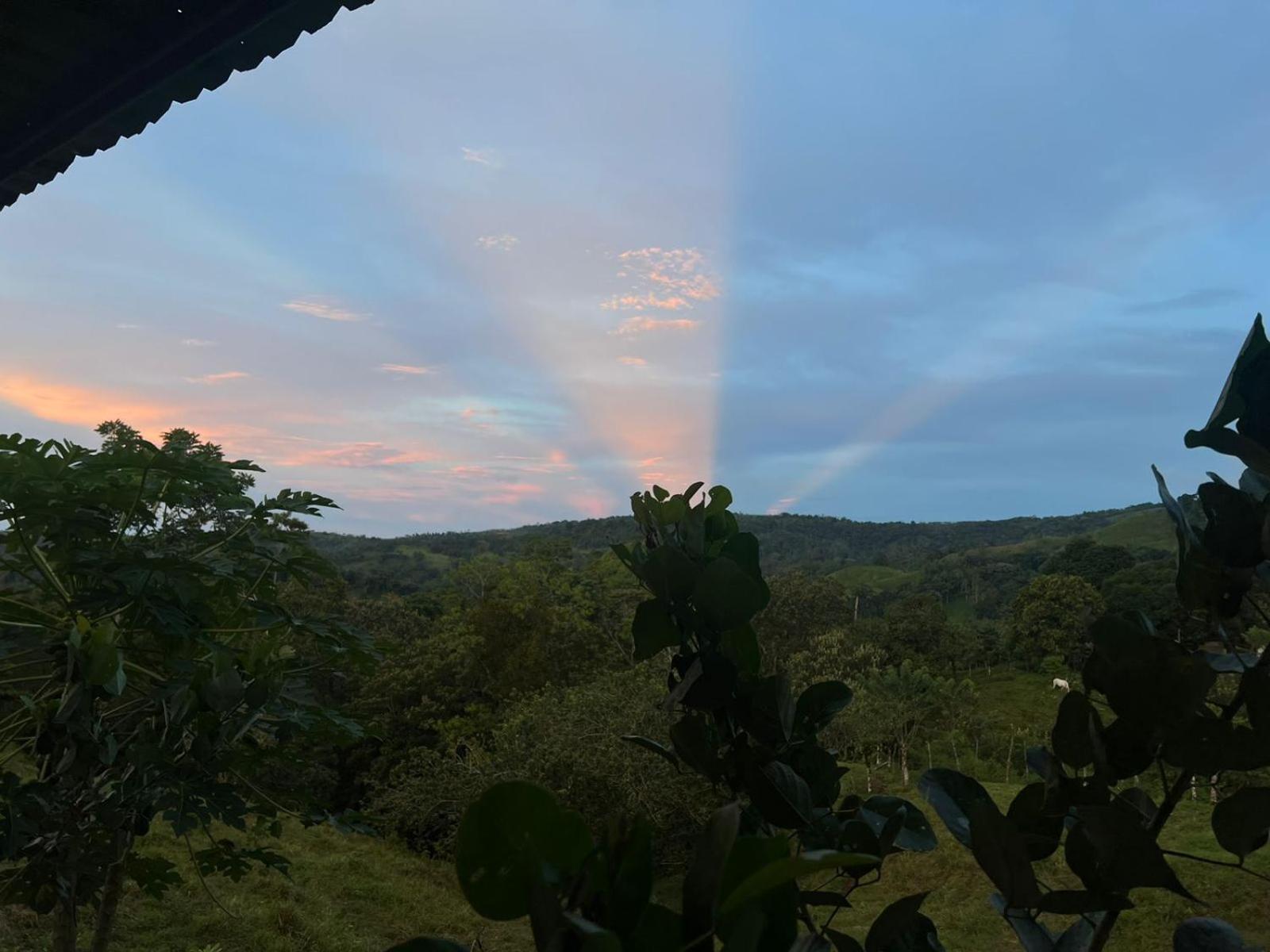 Cabañas venado