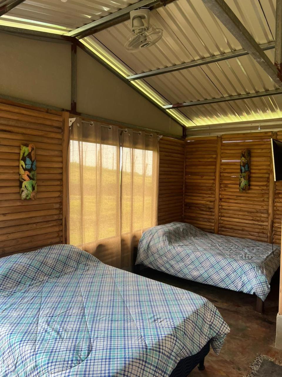 Cabañas venado