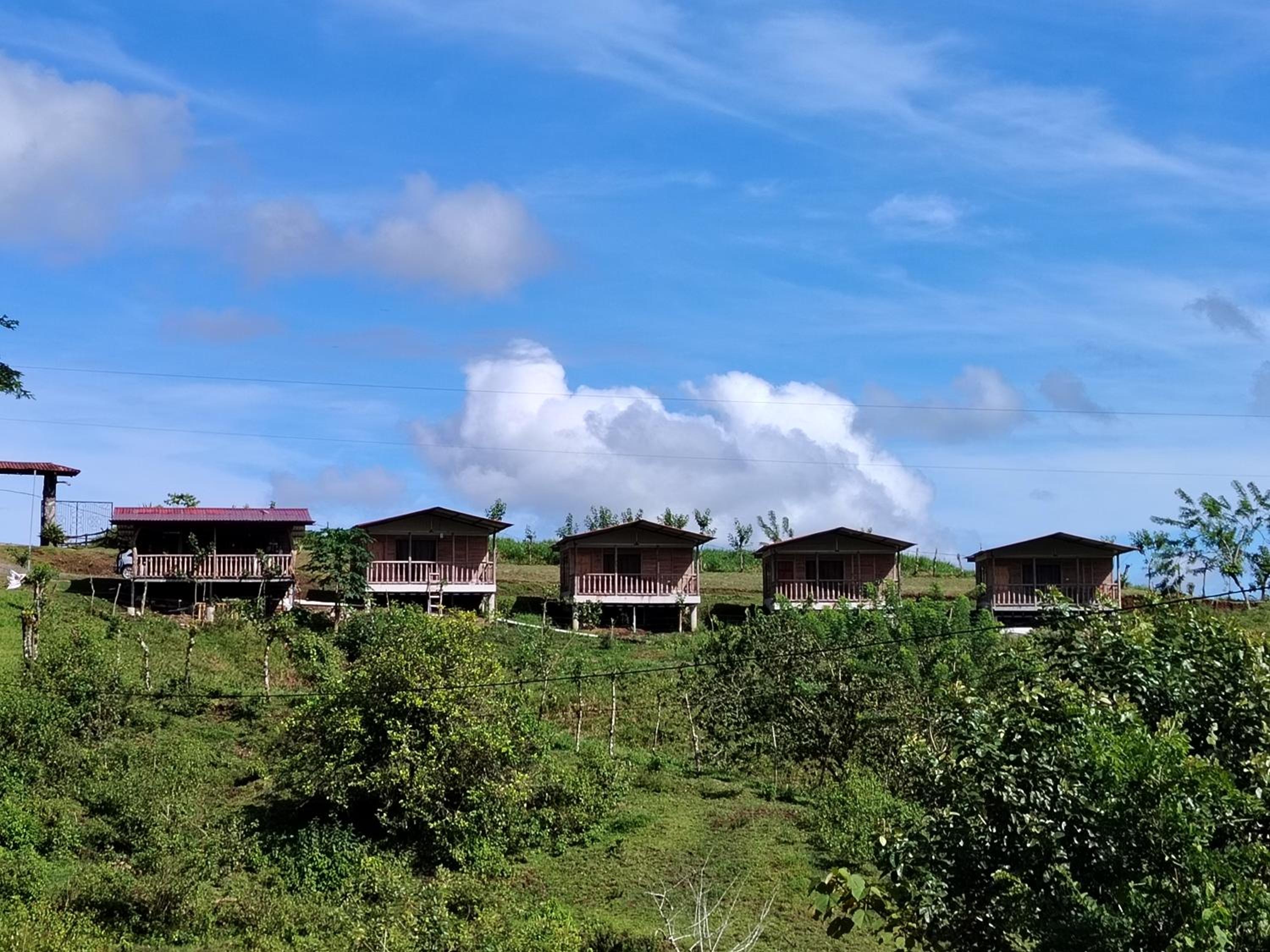 Cabañas venado