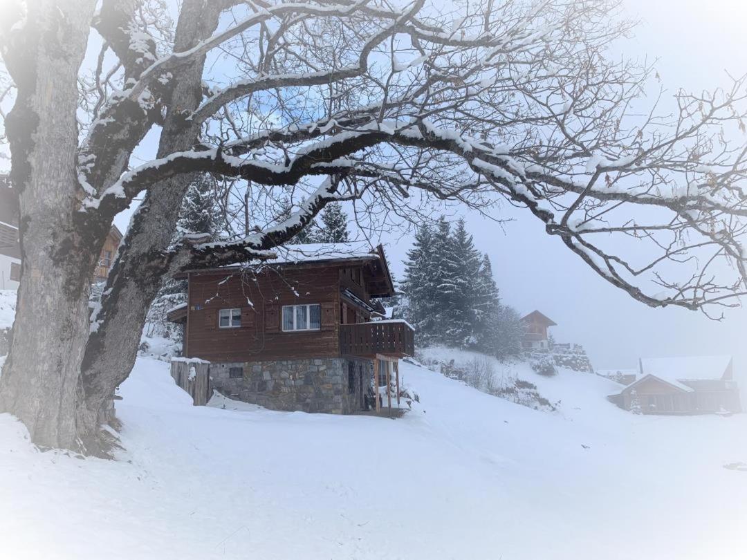 Revier Sytli im Höcheli