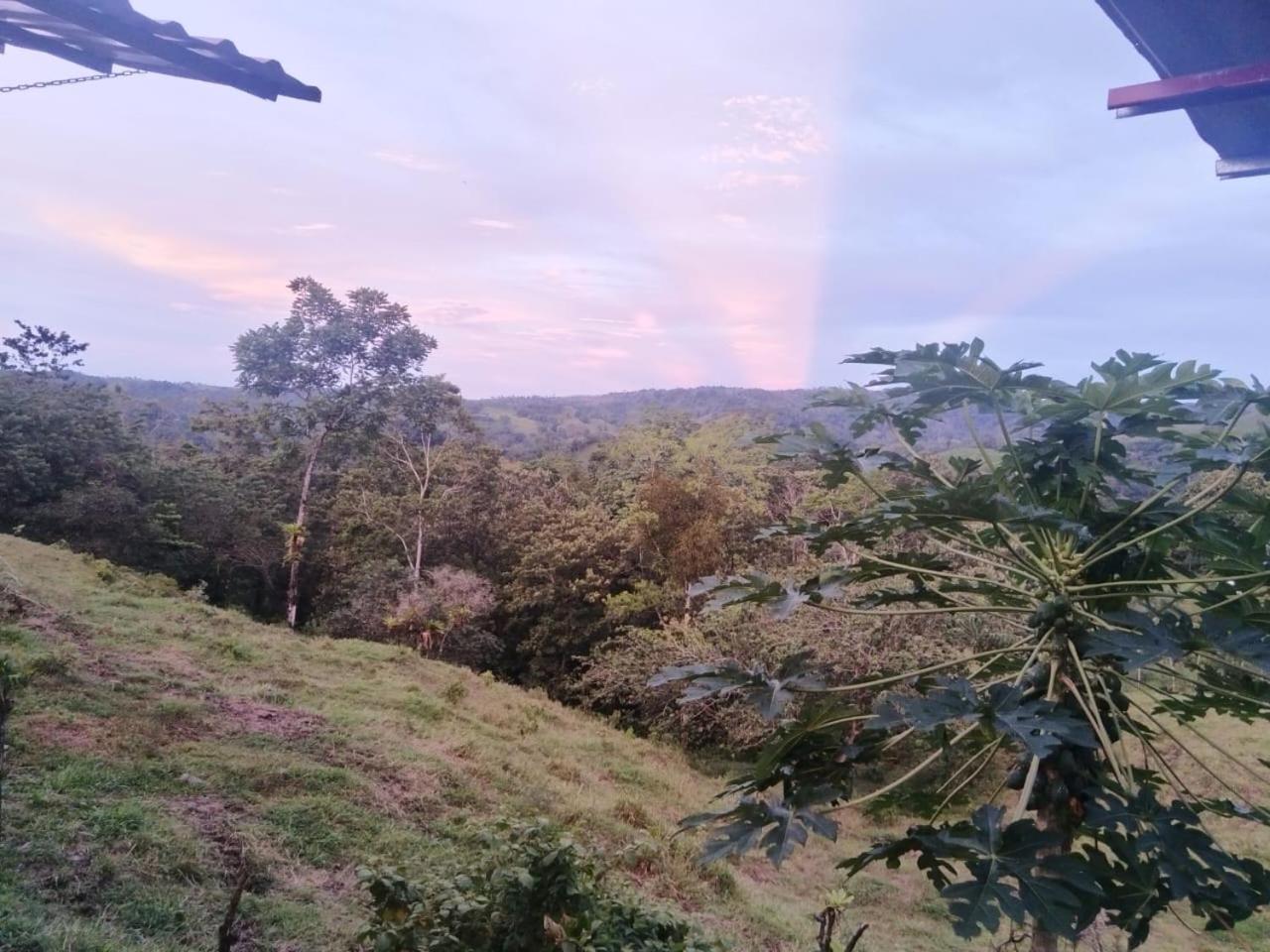 Cabañas venado