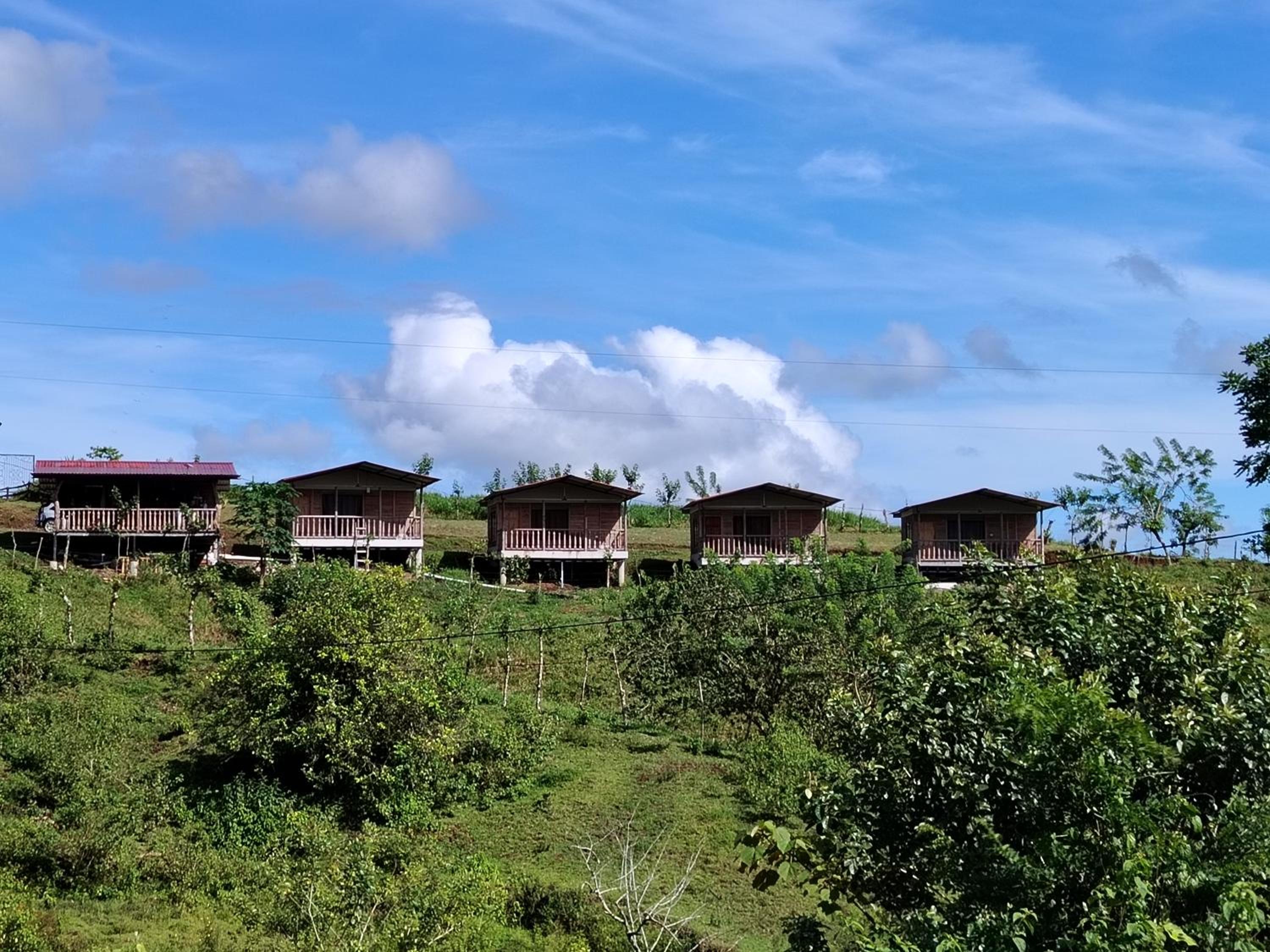 Cabañas venado