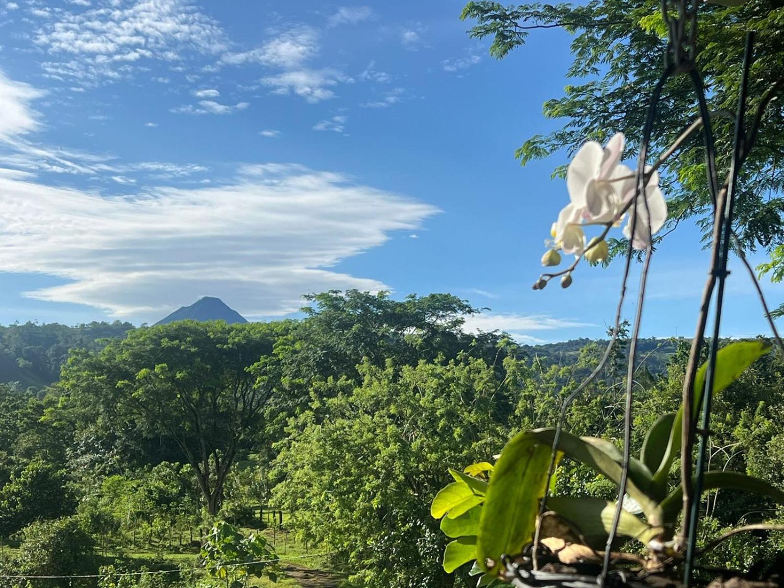 Cabañas venado