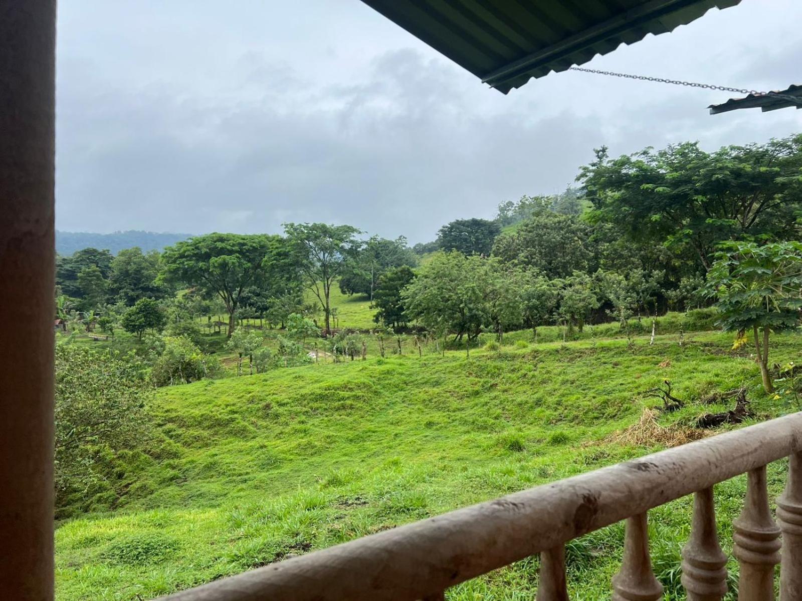 Cabañas venado