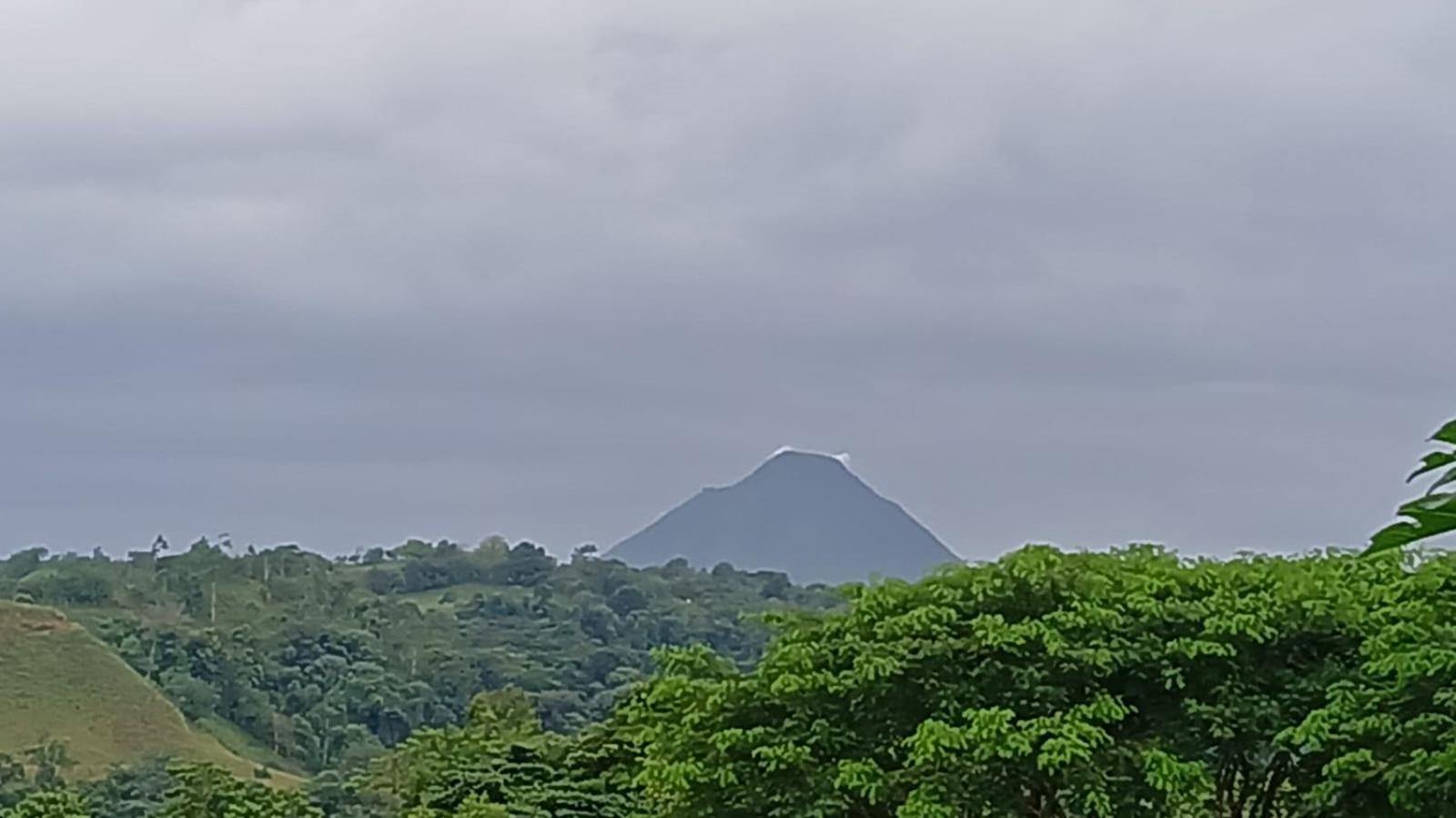 Cabañas venado