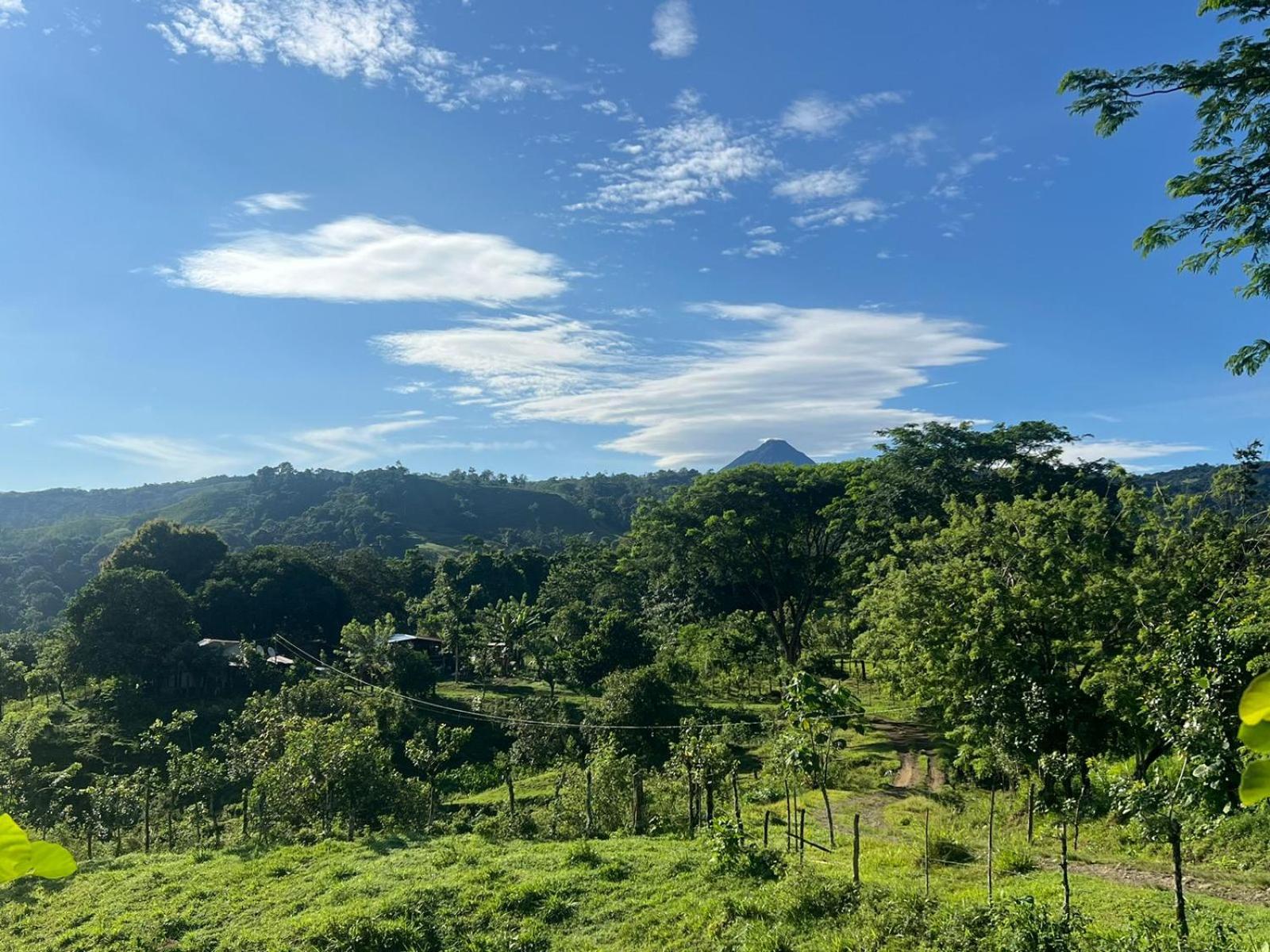 Cabañas venado