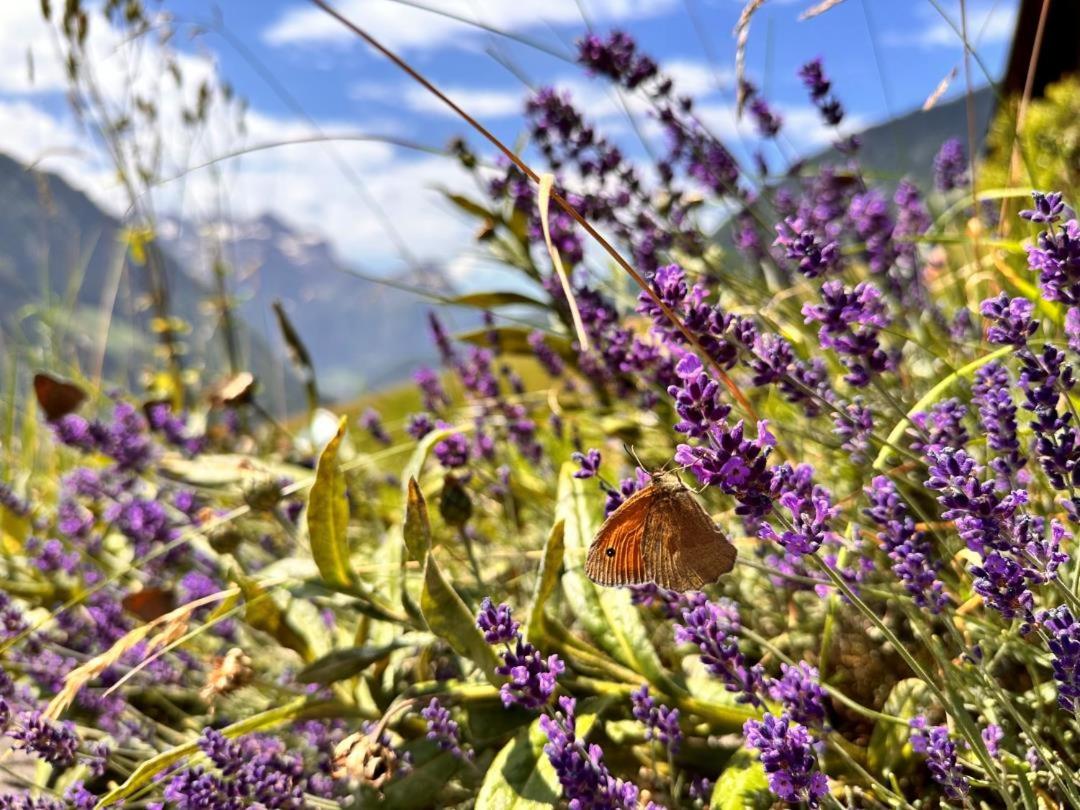 Revier hike to Herrenegg