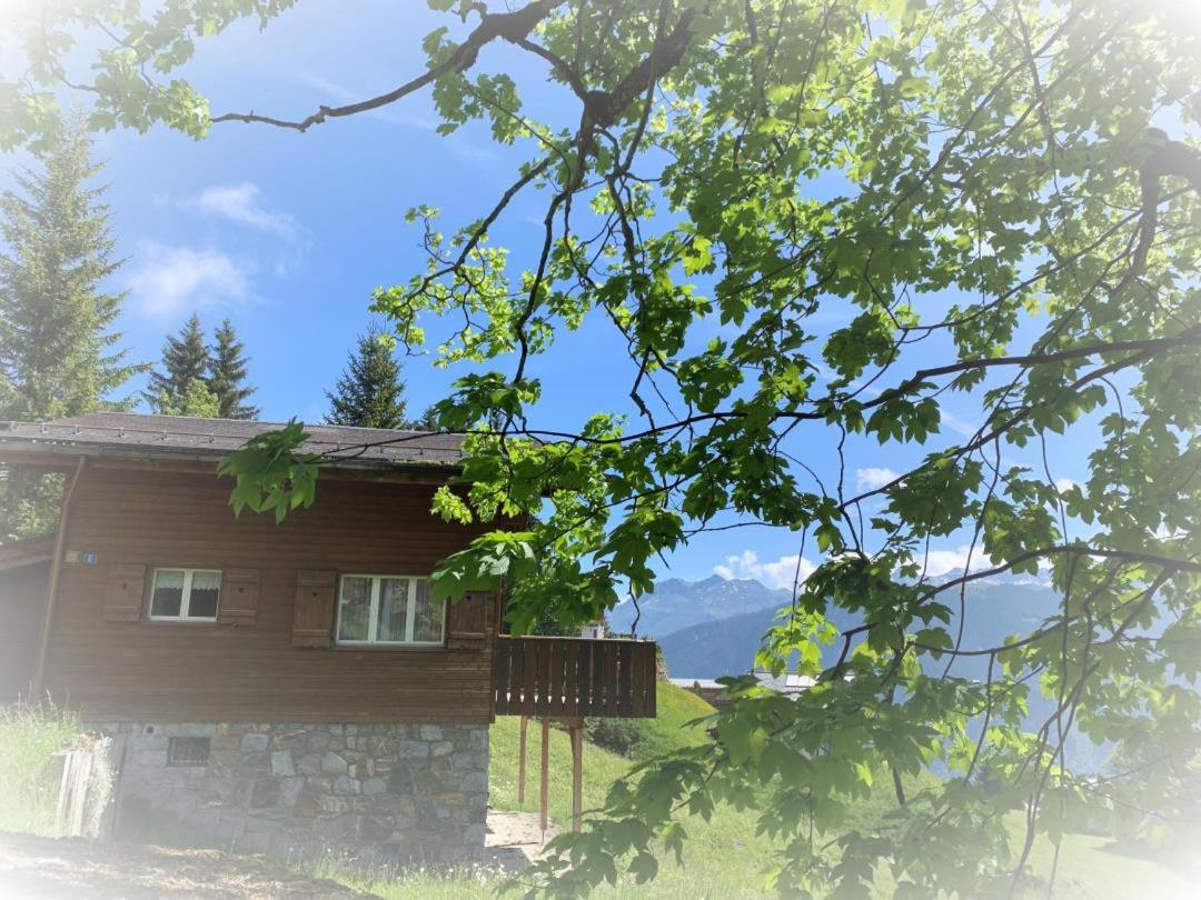 Revier Sytli im Höcheli