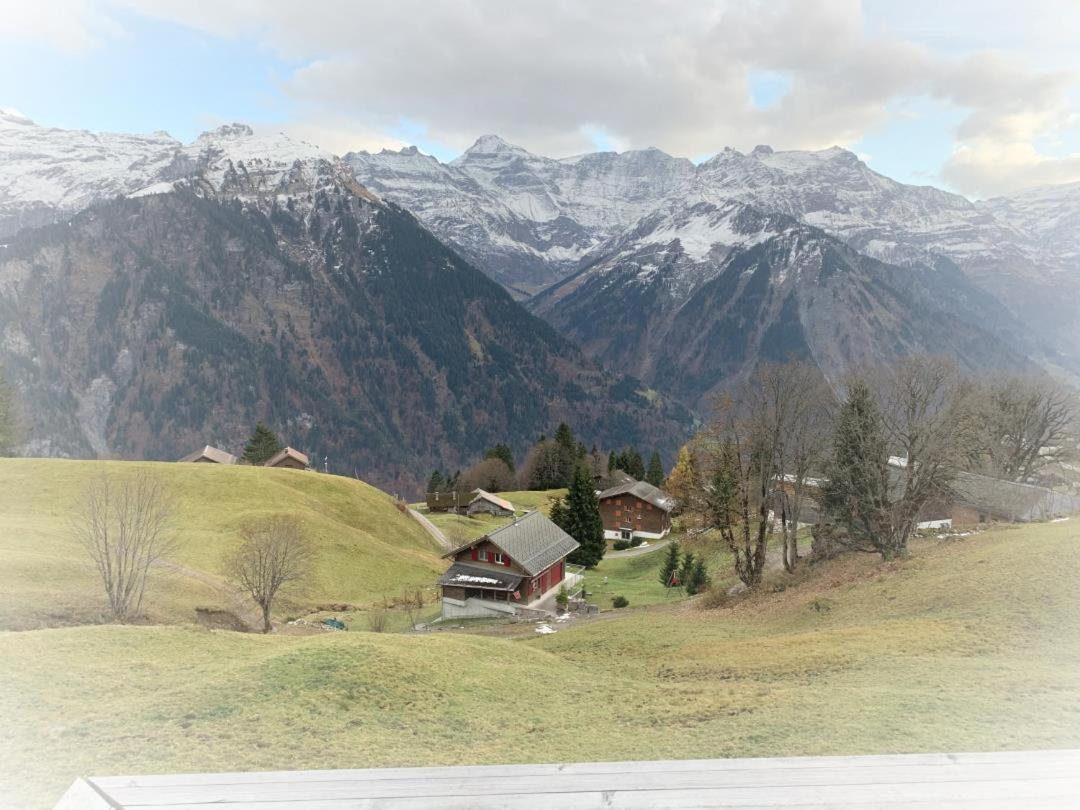Revier Sytli im Höcheli