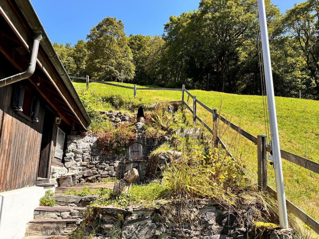 Revier hike to Herrenegg