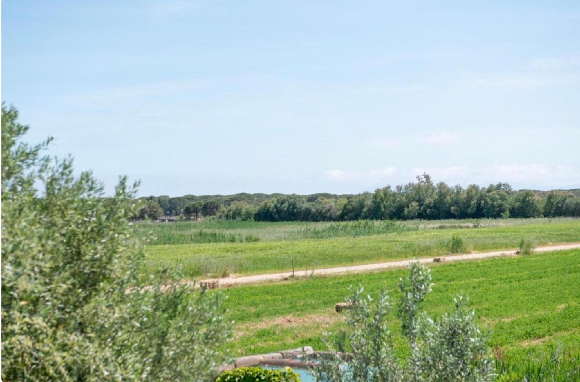 Casa Su Barone 1 view 4