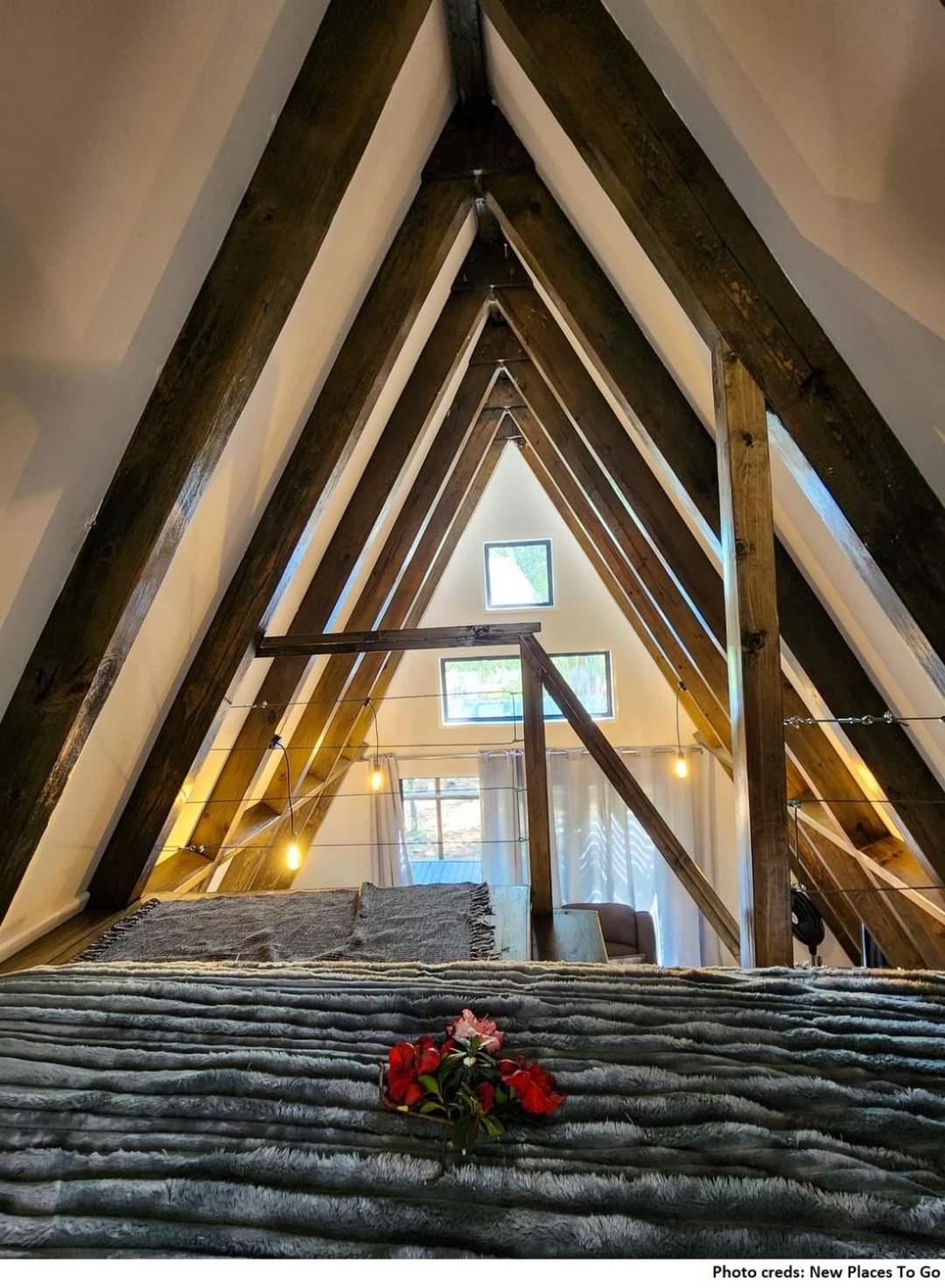 Treehaven Retreat