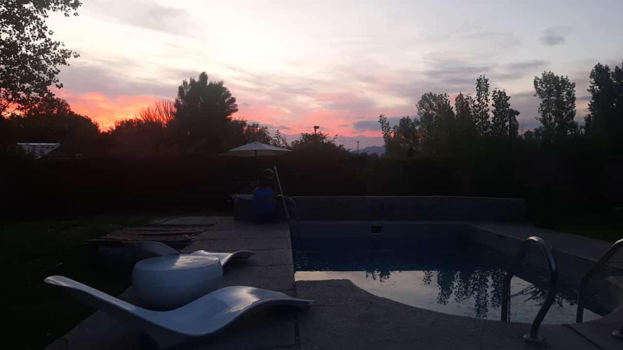 Paz y Vino