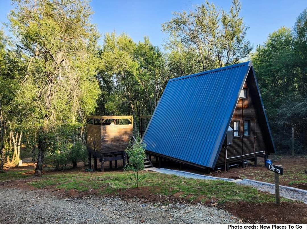 Treehaven Retreat