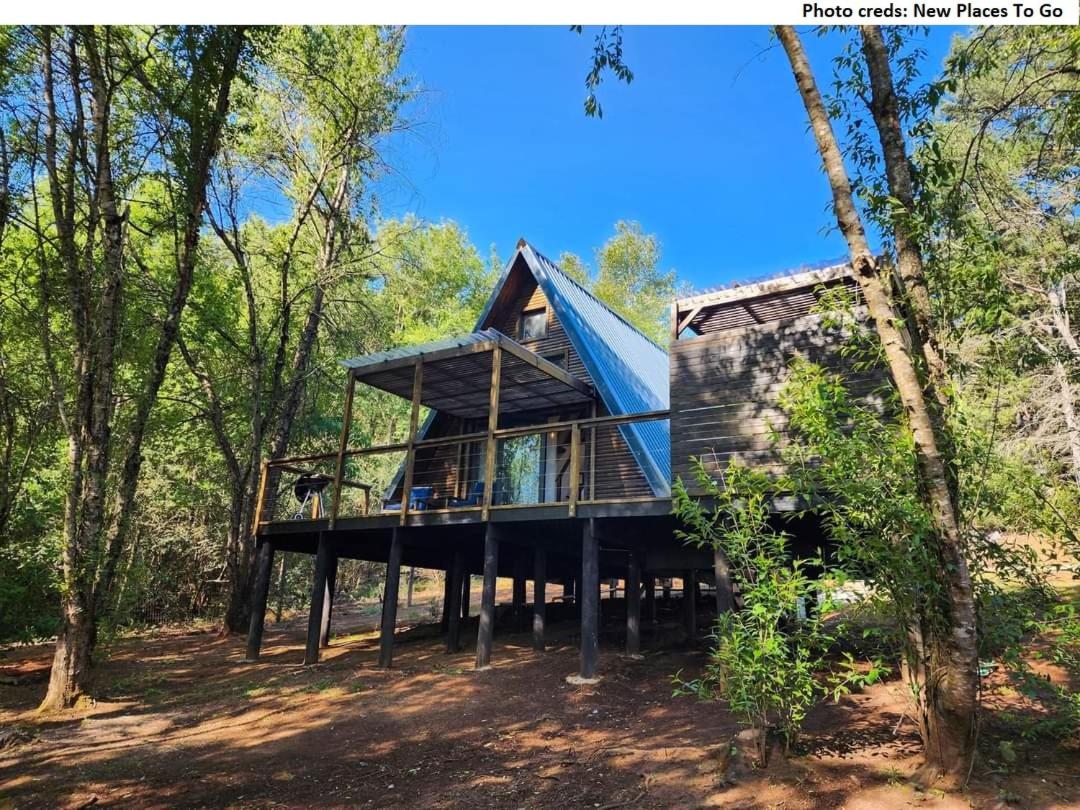 Treehaven Retreat