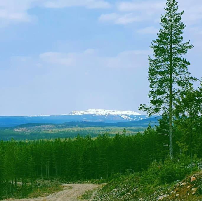 Photo 48