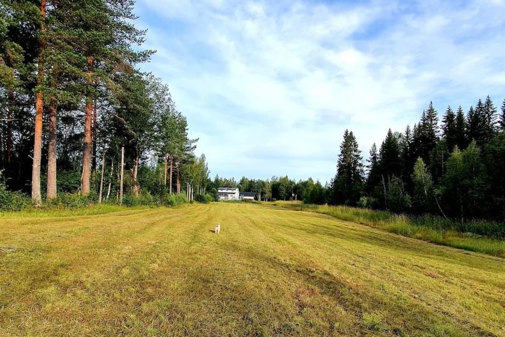 Photo 50