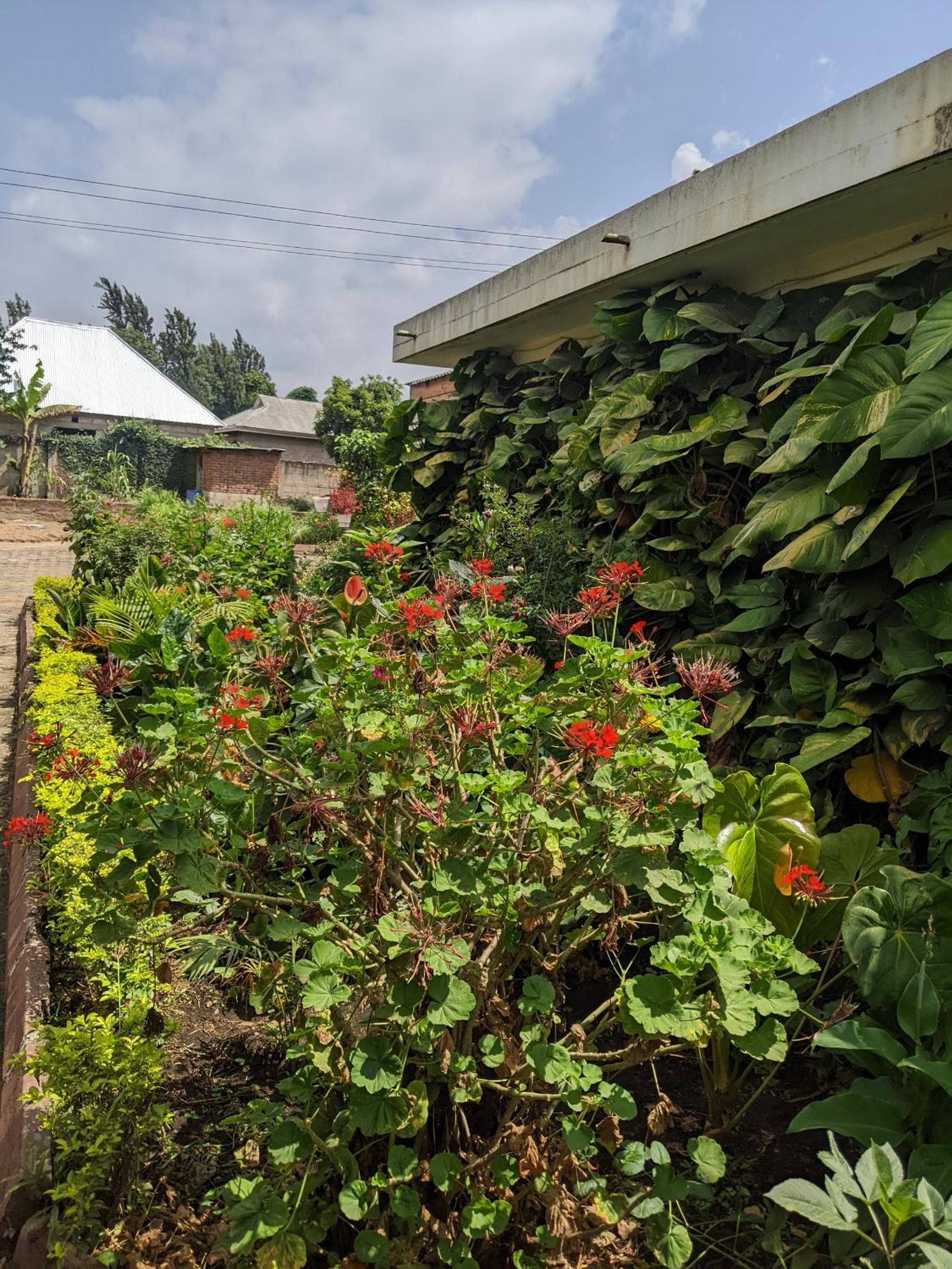 Sombetini Homestay Kwa Mgani view 5