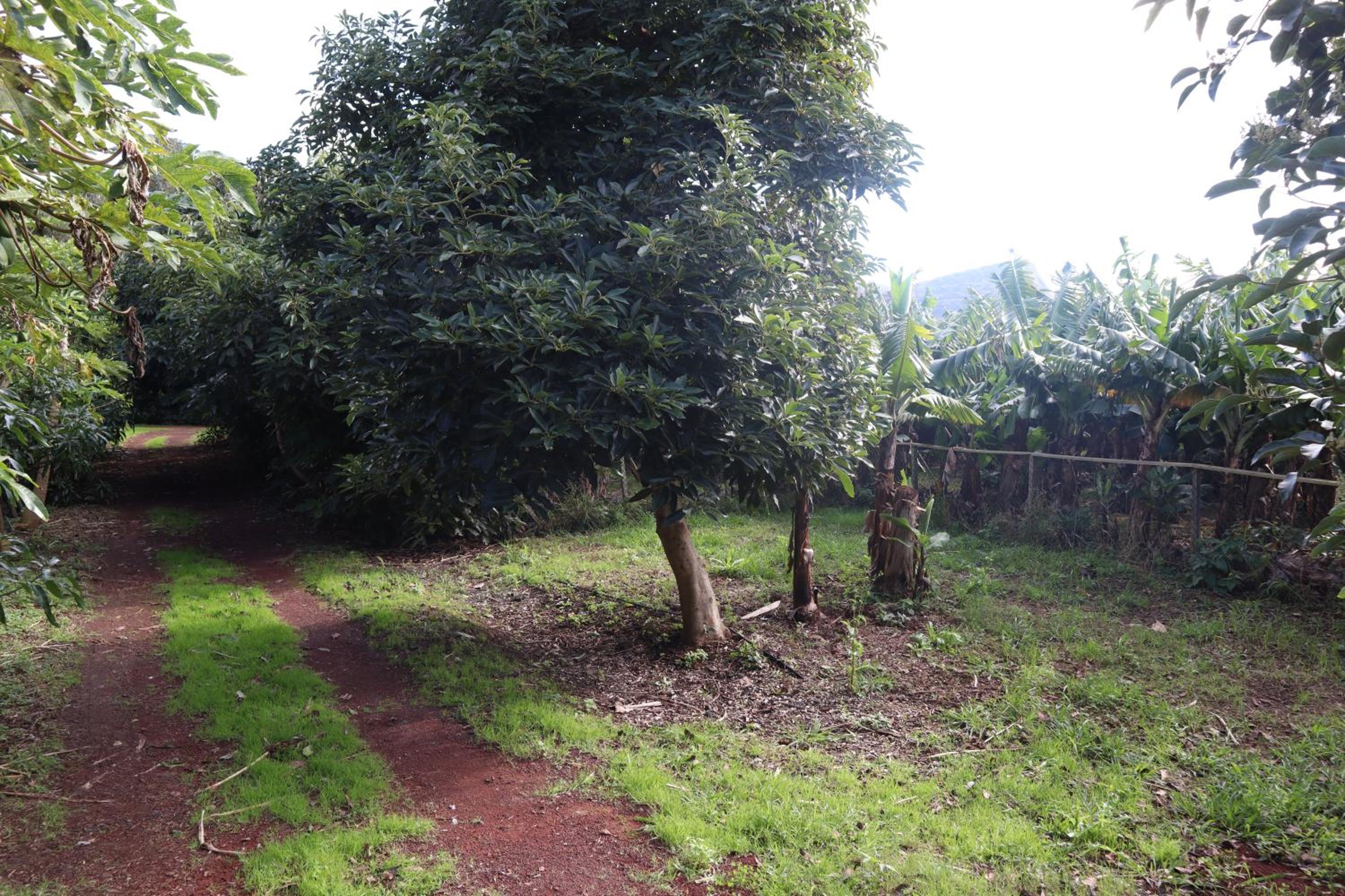 Photo 67