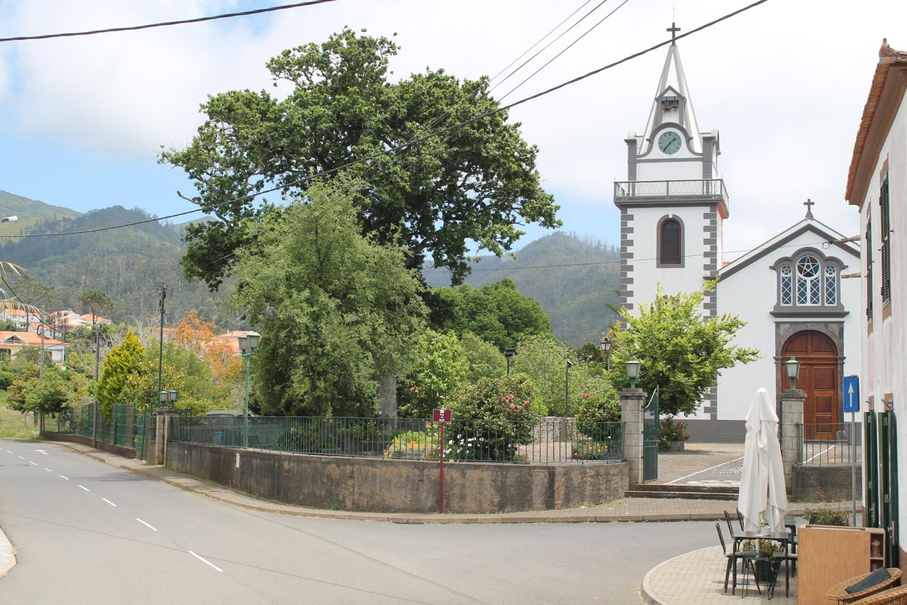 OurMadeira - Prazeres Paradise view 4
