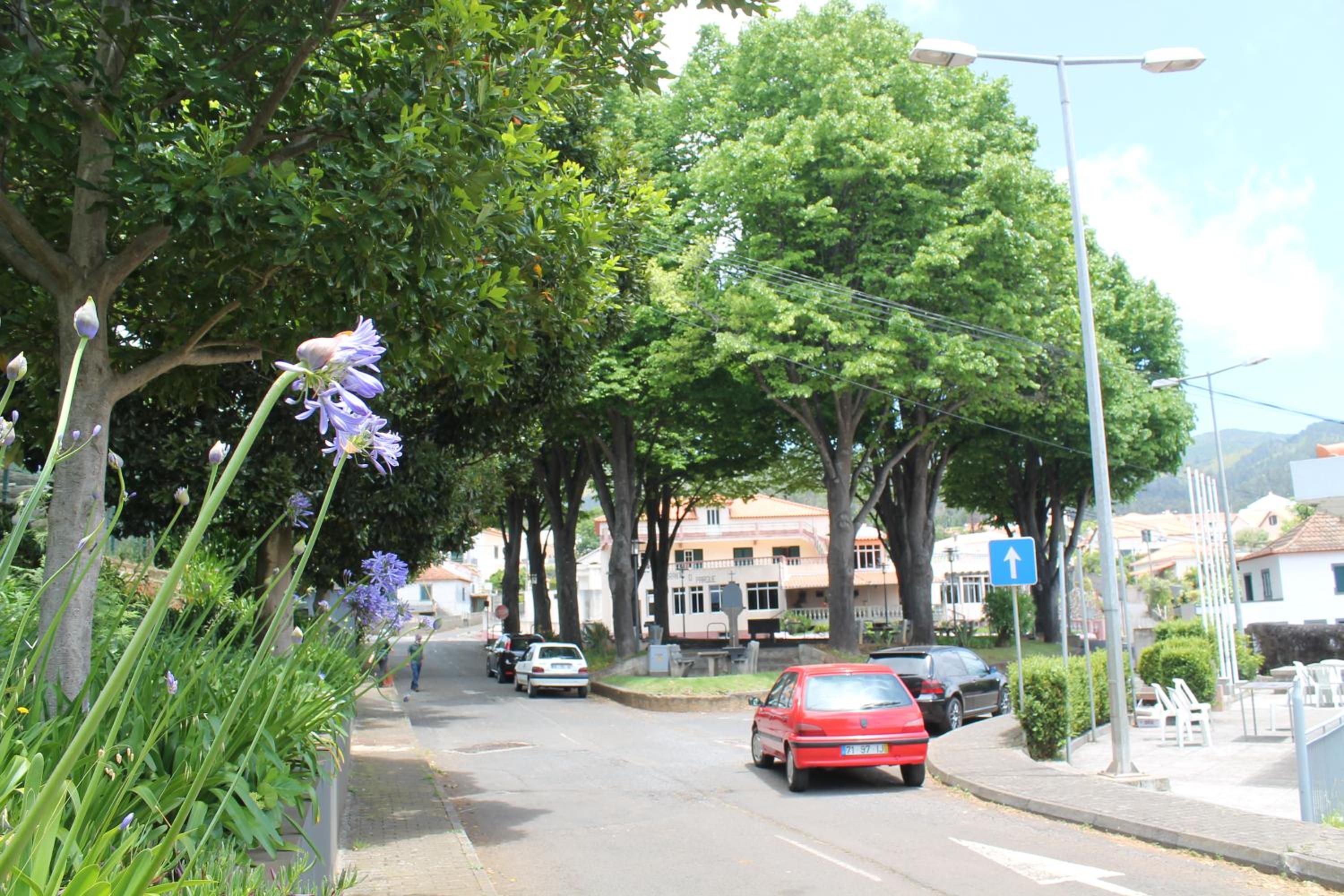 OurMadeira - Prazeres Paradise view 5