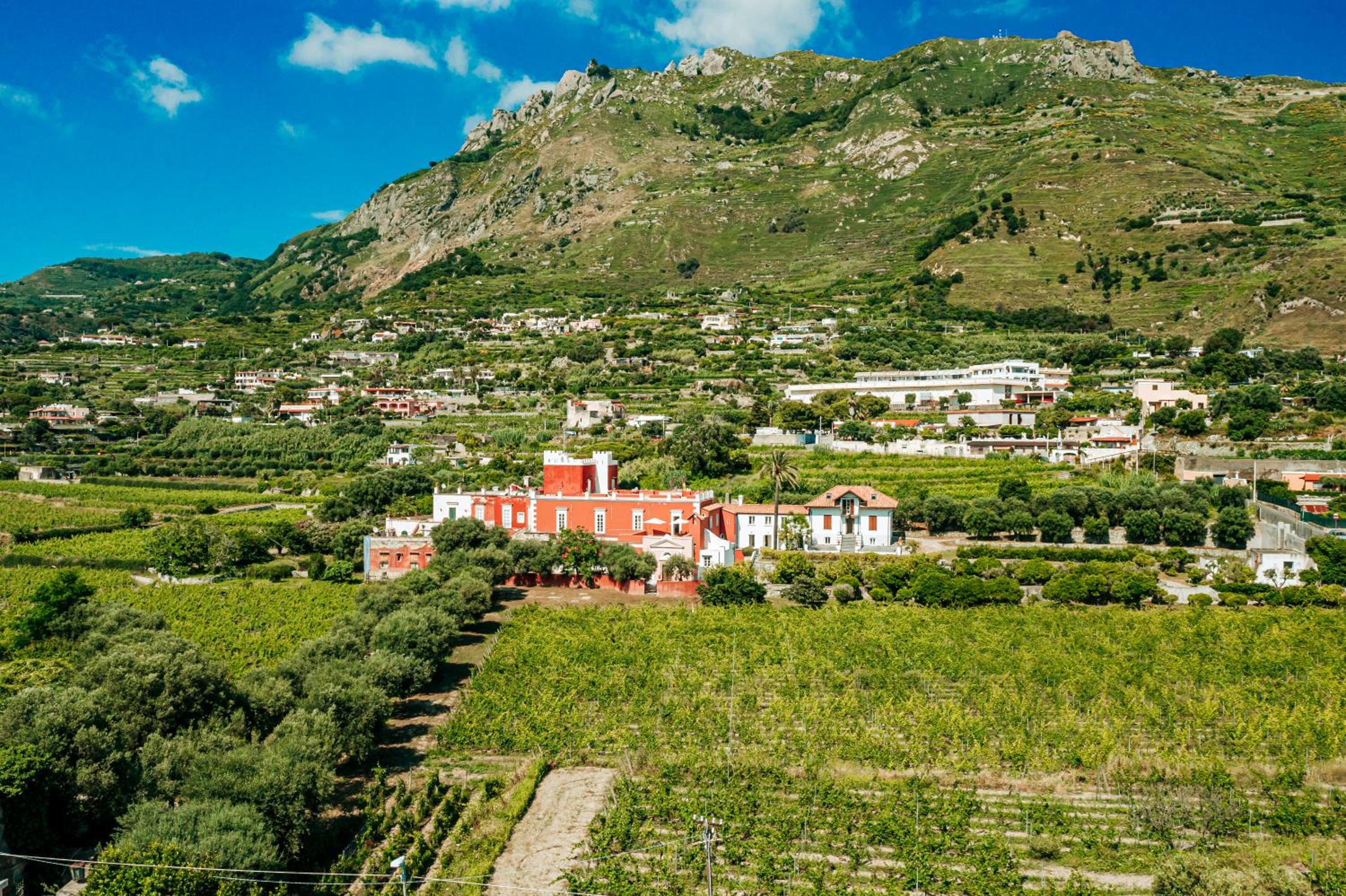 Hotel Tenuta Calitto wine resort e spa - Image 1