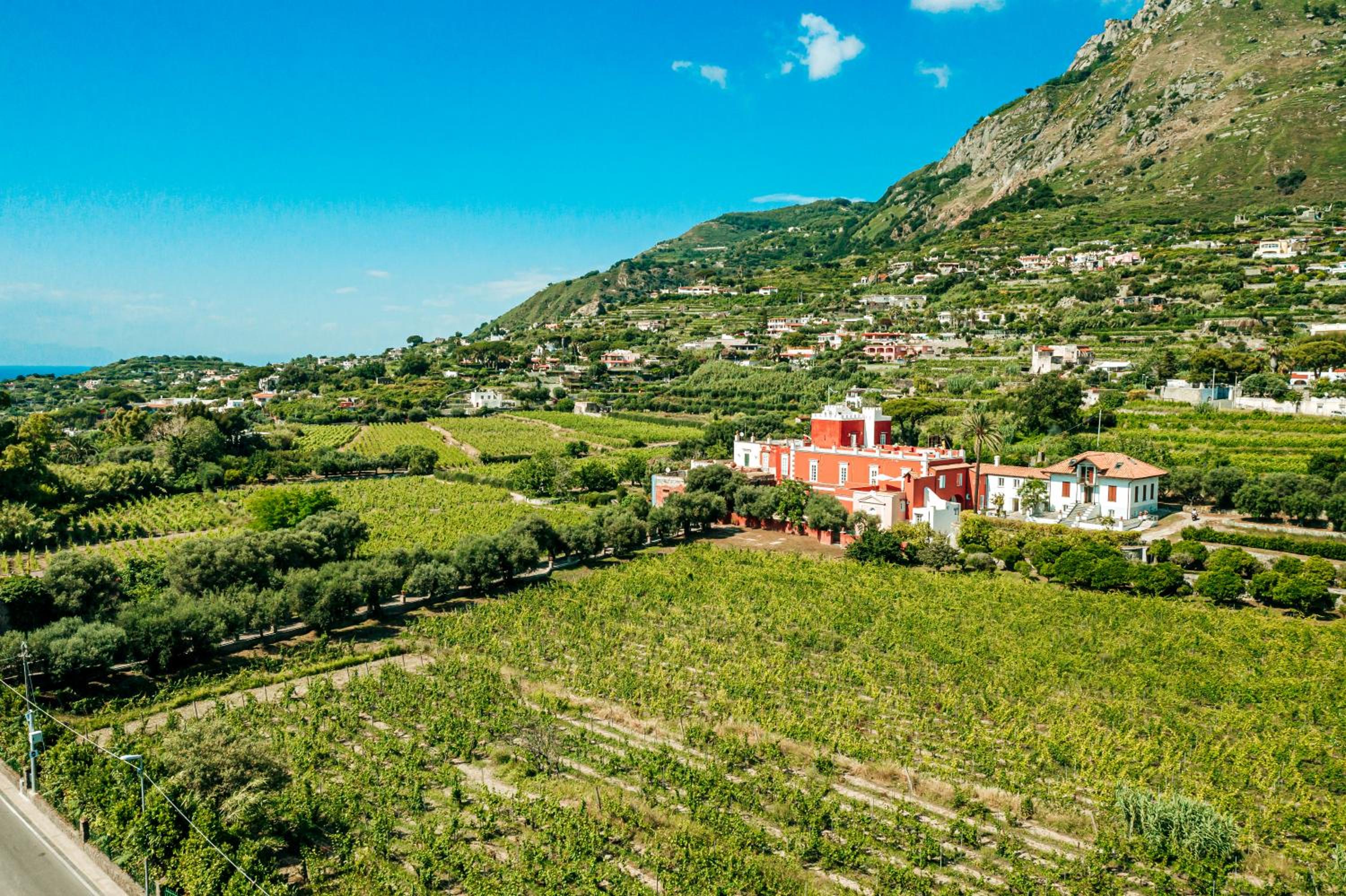 Tenuta Calitto wine resort e spa