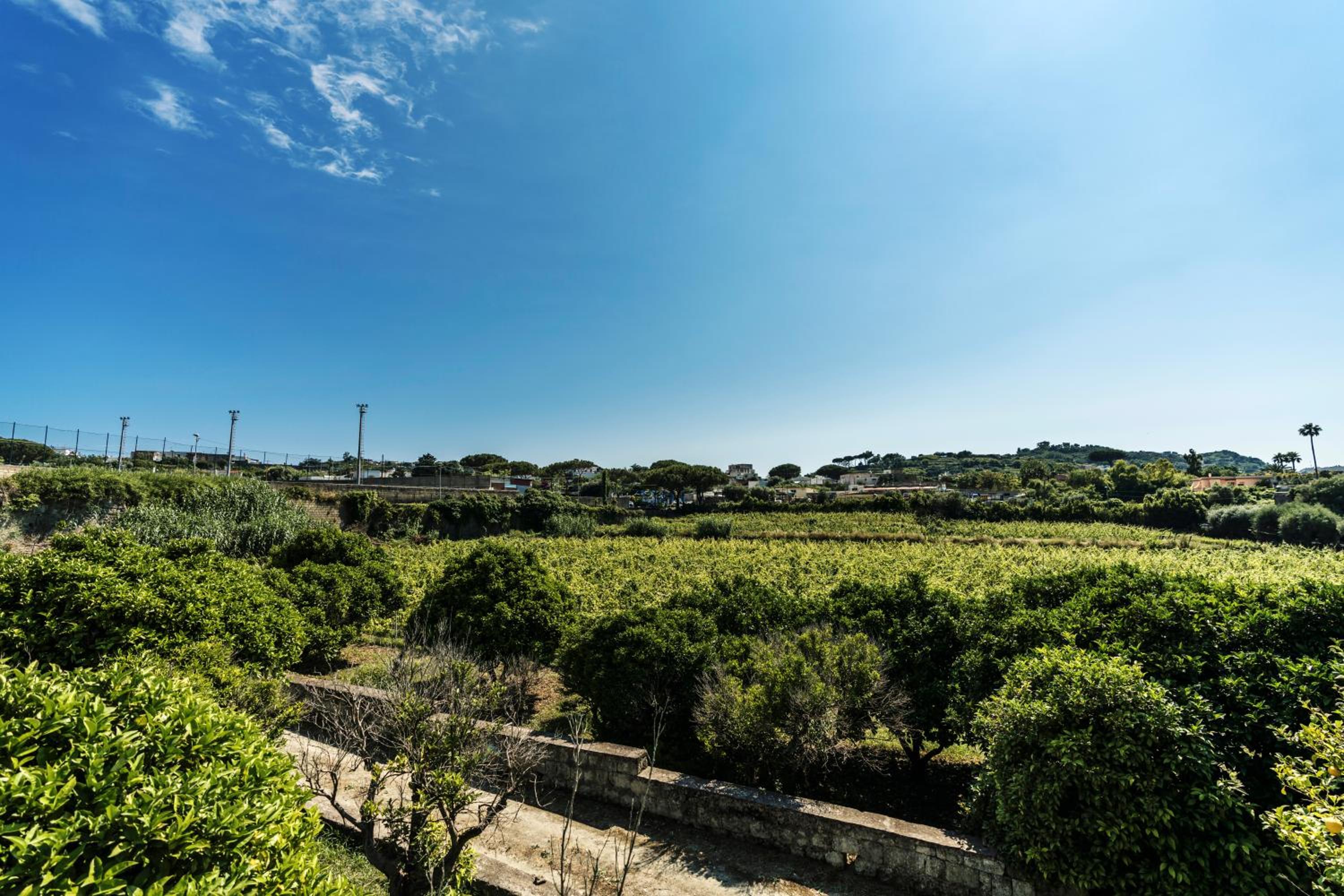 Tenuta Calitto wine resort e spa