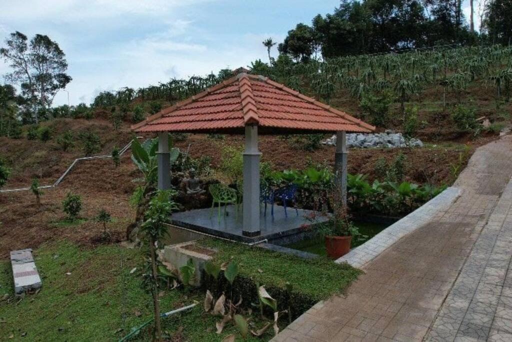 Bk farmhouse homestay view 4