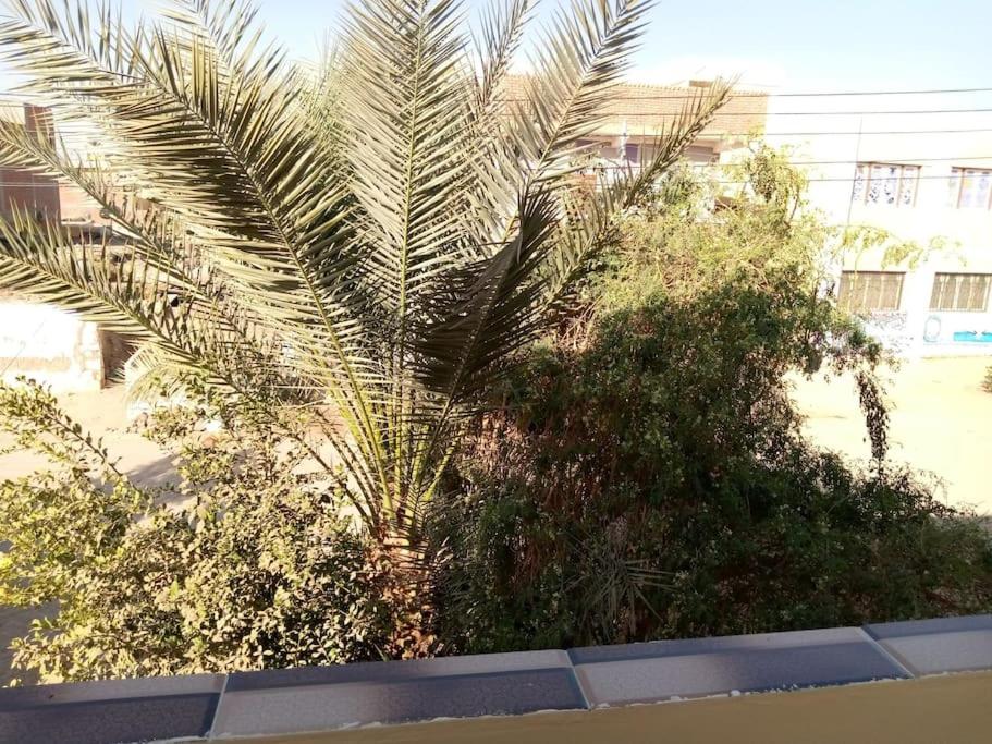 SaYeD guest house