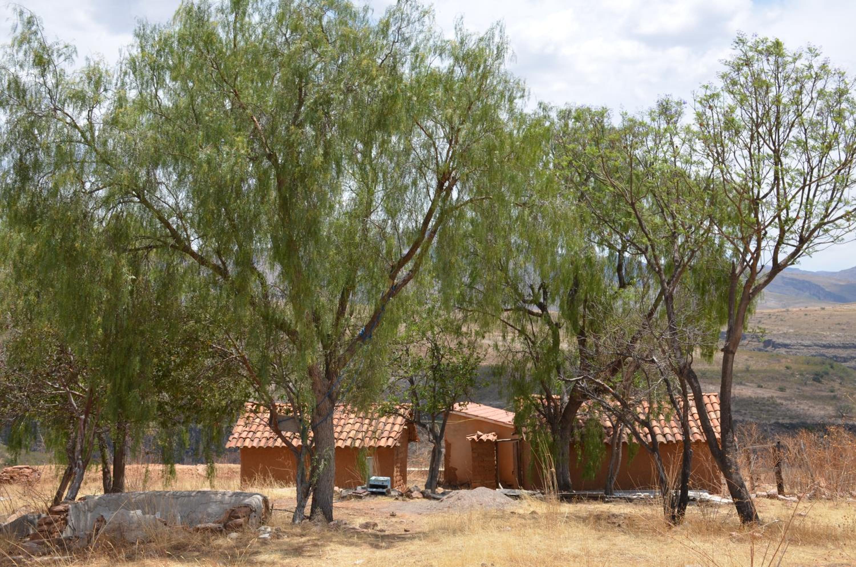 Casa de familia La Lomeña