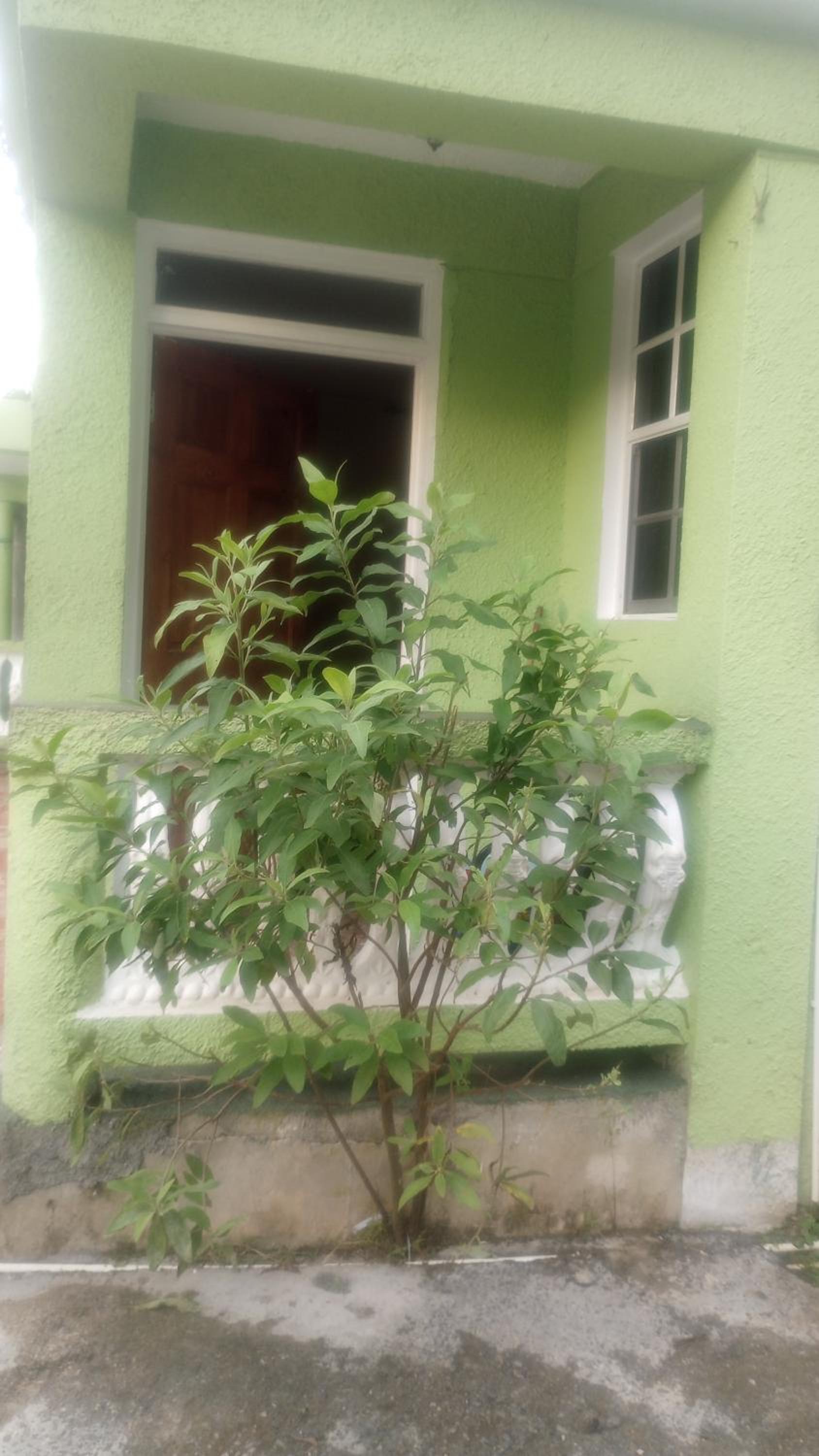 Beezeela apartments