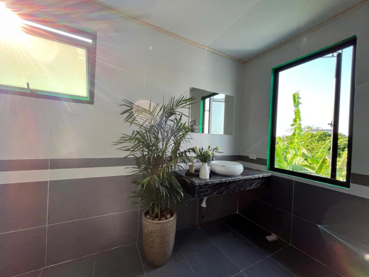 The Green House Homestay