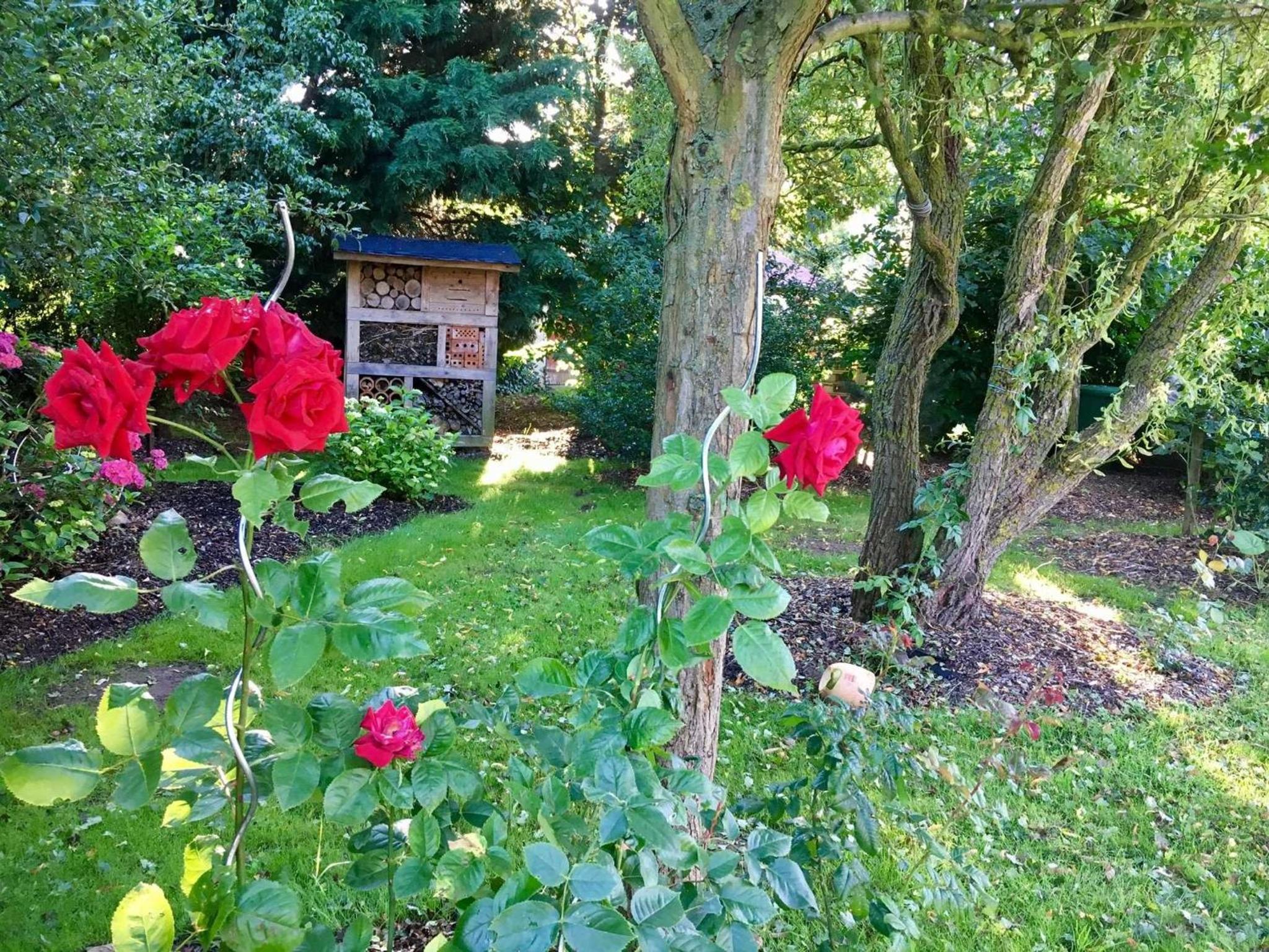 Ferienwohnung Eichenhof