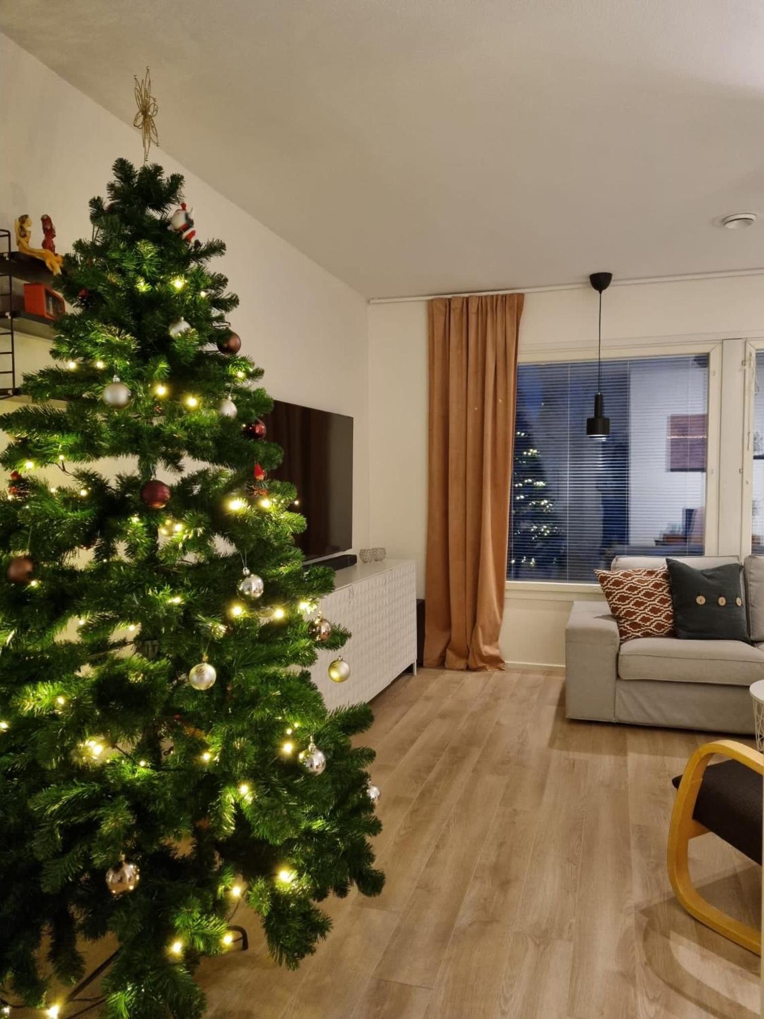 Lappish City House - Peace close to the center view 3