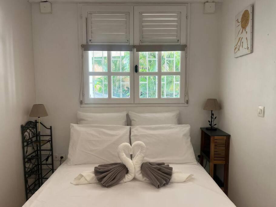 Joli Studio à la Villa l'Ensoleillée avec son grand Jardin view 5