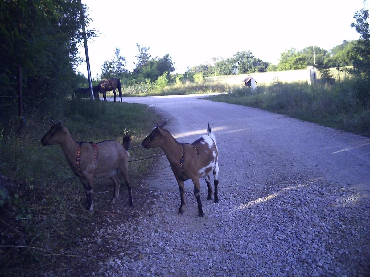 Charmante Dependance - Property Image 4