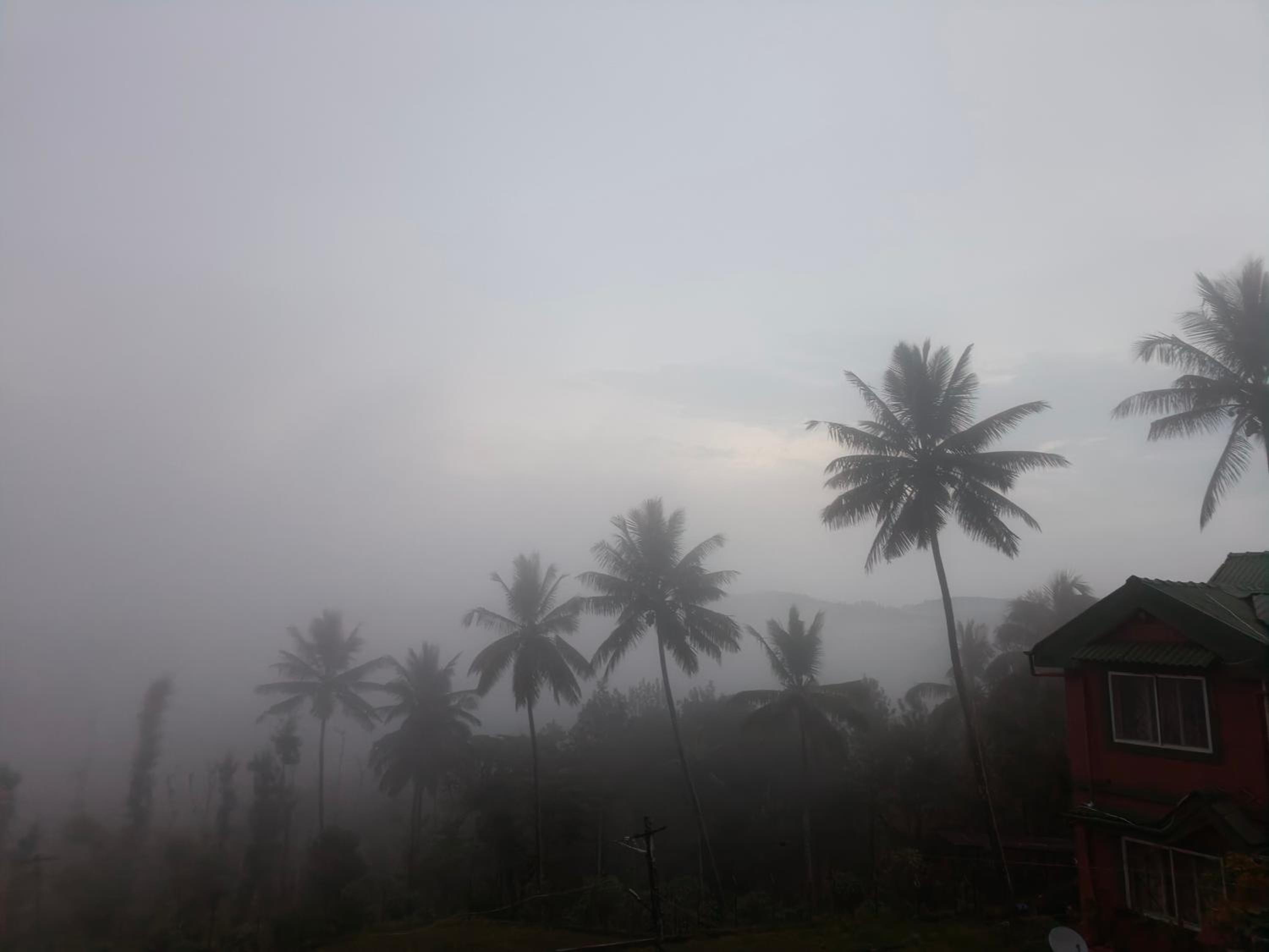 Nestinggrounds