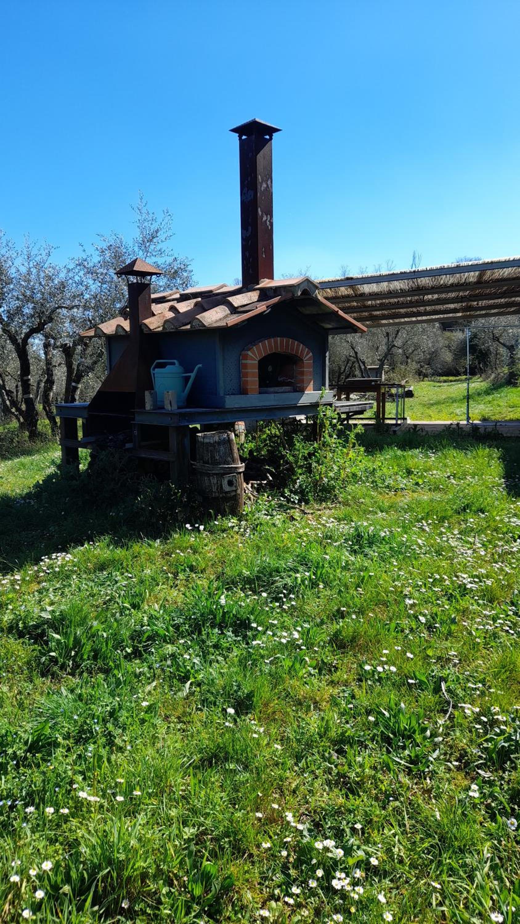 Photo 28