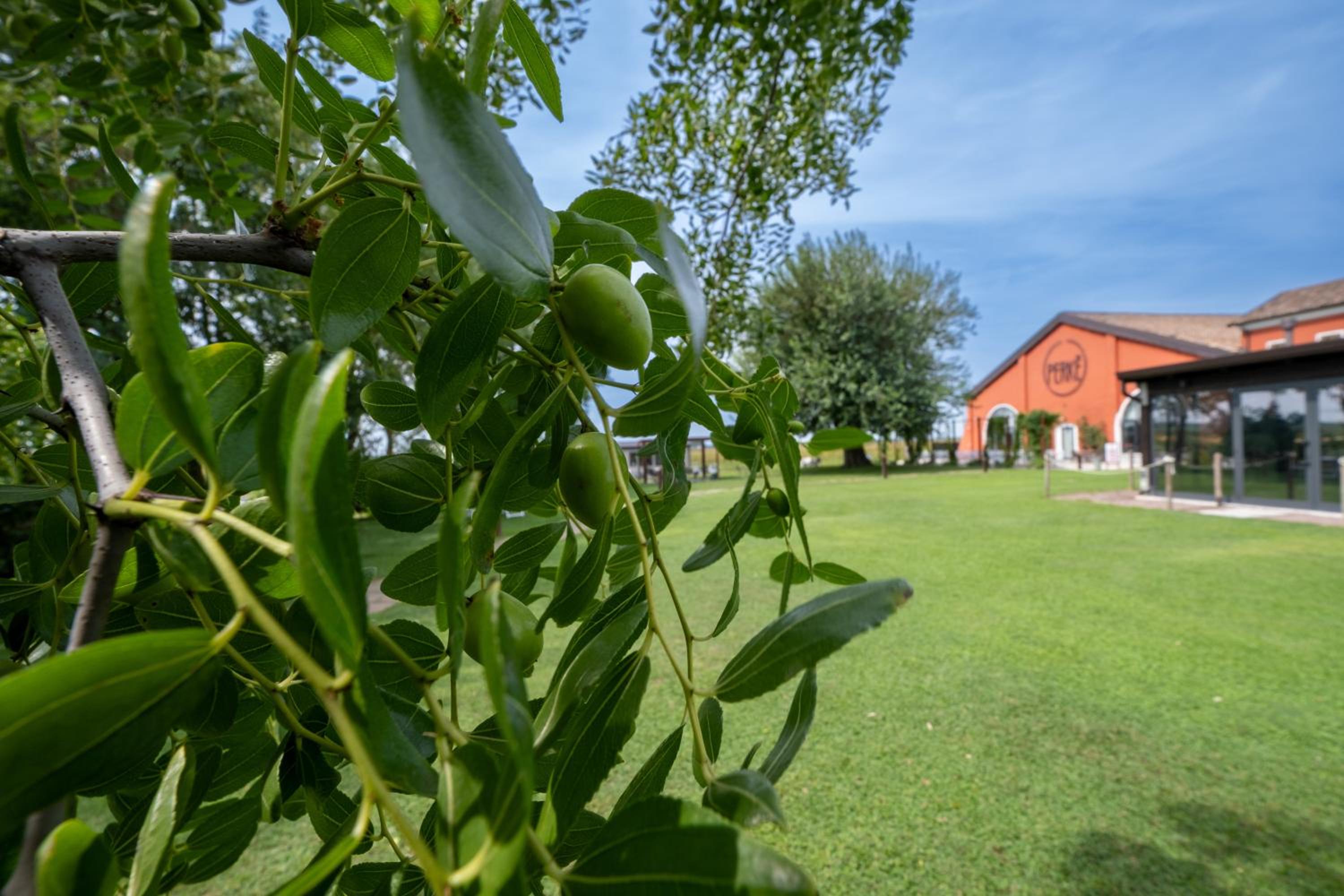 Villa Ferri Agriturismo PERKE
